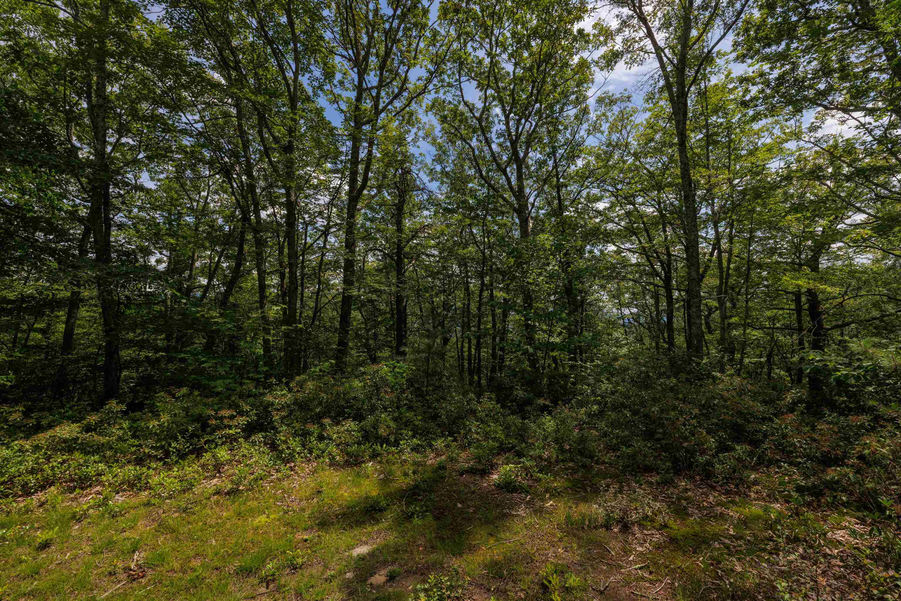 TBD HIGH VALLEY SOUTH, MONTEREY, Virginia 24465, ,Land,TBD HIGH VALLEY SOUTH,668267 MLS # 668267