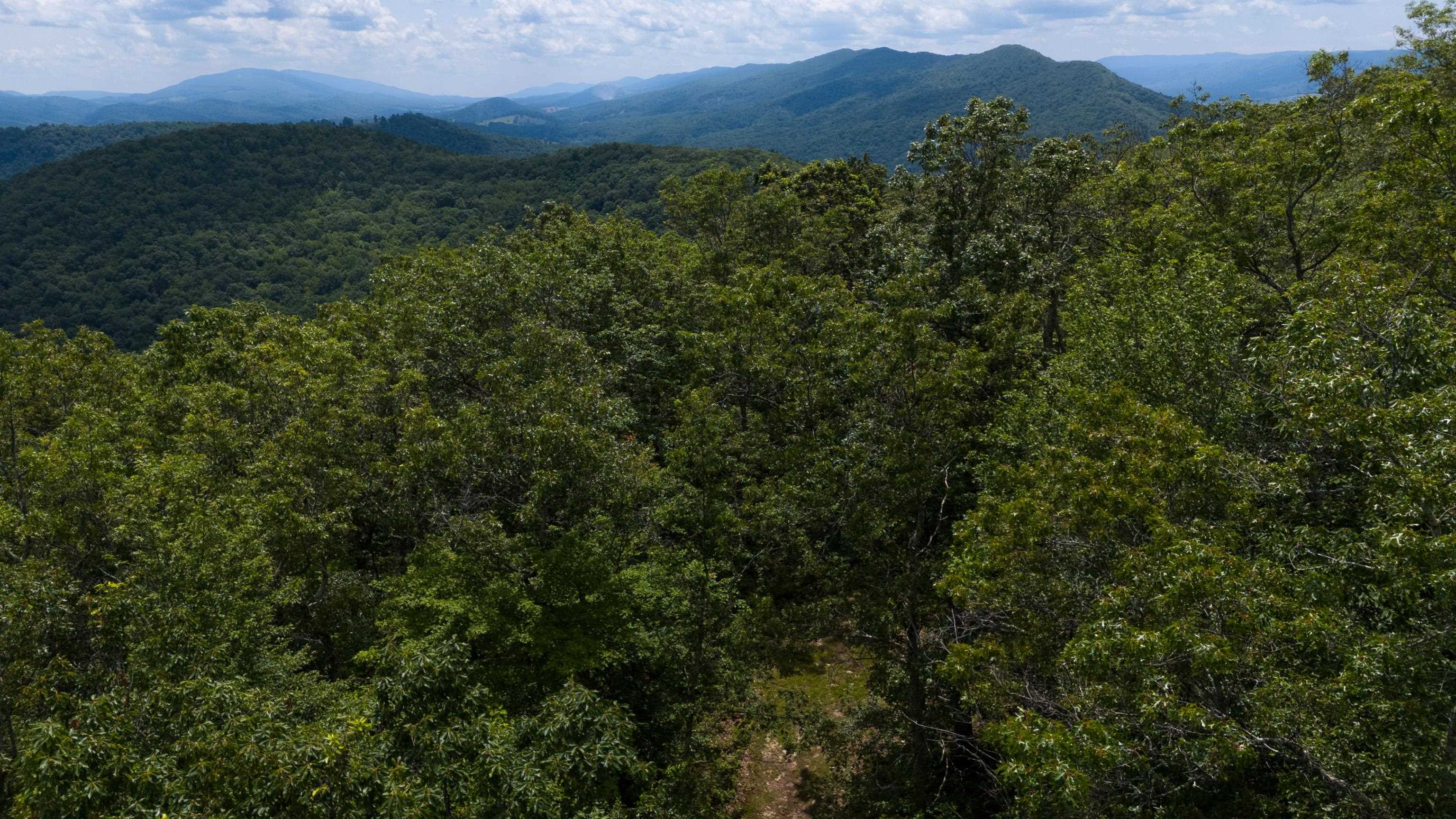 TBD HIGH VALLEY SOUTH, MONTEREY, Virginia 24465, ,Land,TBD HIGH VALLEY SOUTH,668267 MLS # 668267