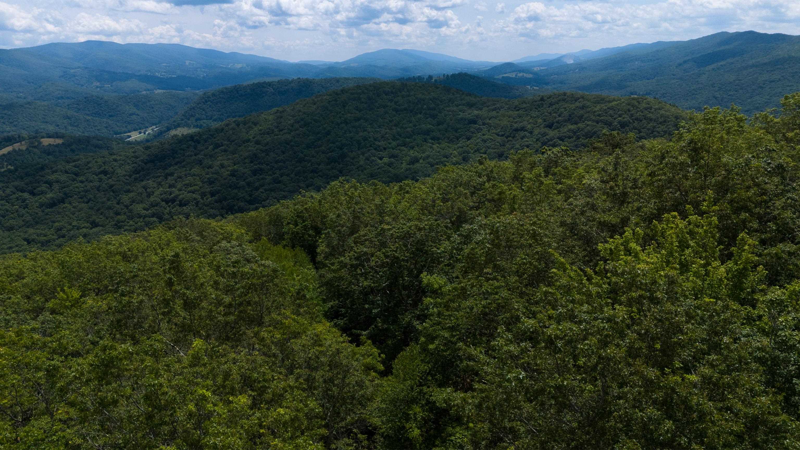 TBD HIGH VALLEY SOUTH, MONTEREY, Virginia 24465, ,Land,TBD HIGH VALLEY SOUTH,668267 MLS # 668267