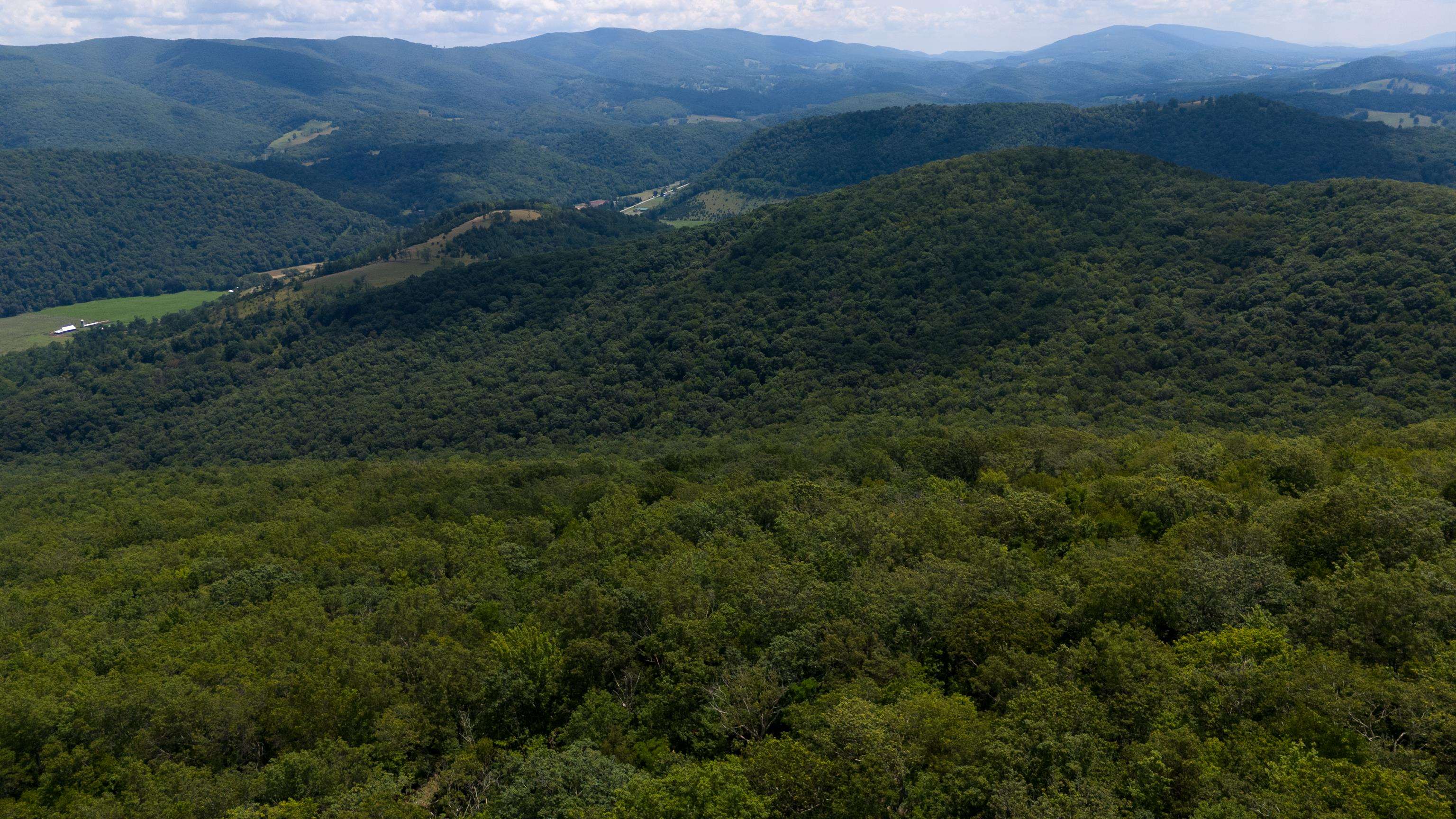 TBD HIGH VALLEY SOUTH, MONTEREY, Virginia 24465, ,Land,TBD HIGH VALLEY SOUTH,668267 MLS # 668267