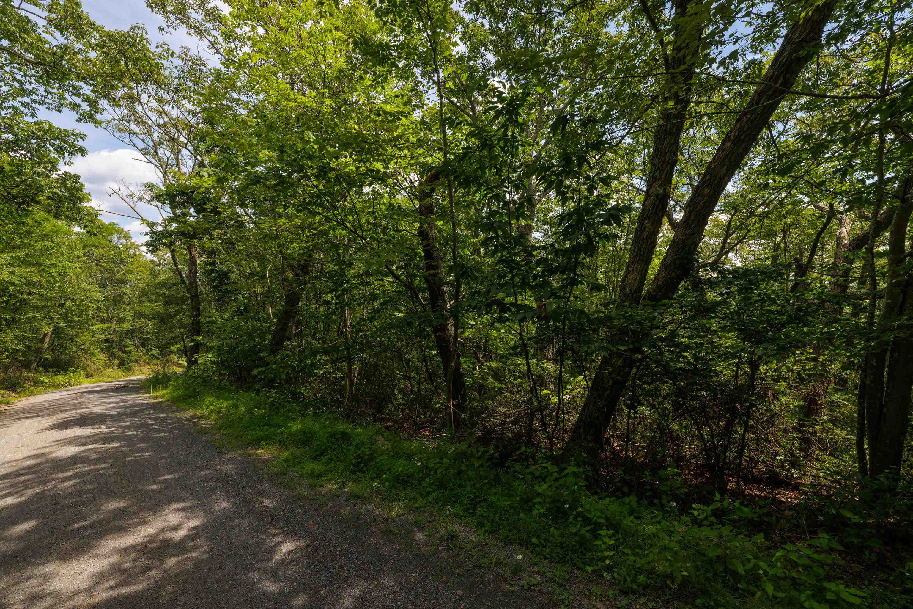 TBD HIGH VALLEY SOUTH, MONTEREY, Virginia 24465, ,Land,TBD HIGH VALLEY SOUTH,668267 MLS # 668267