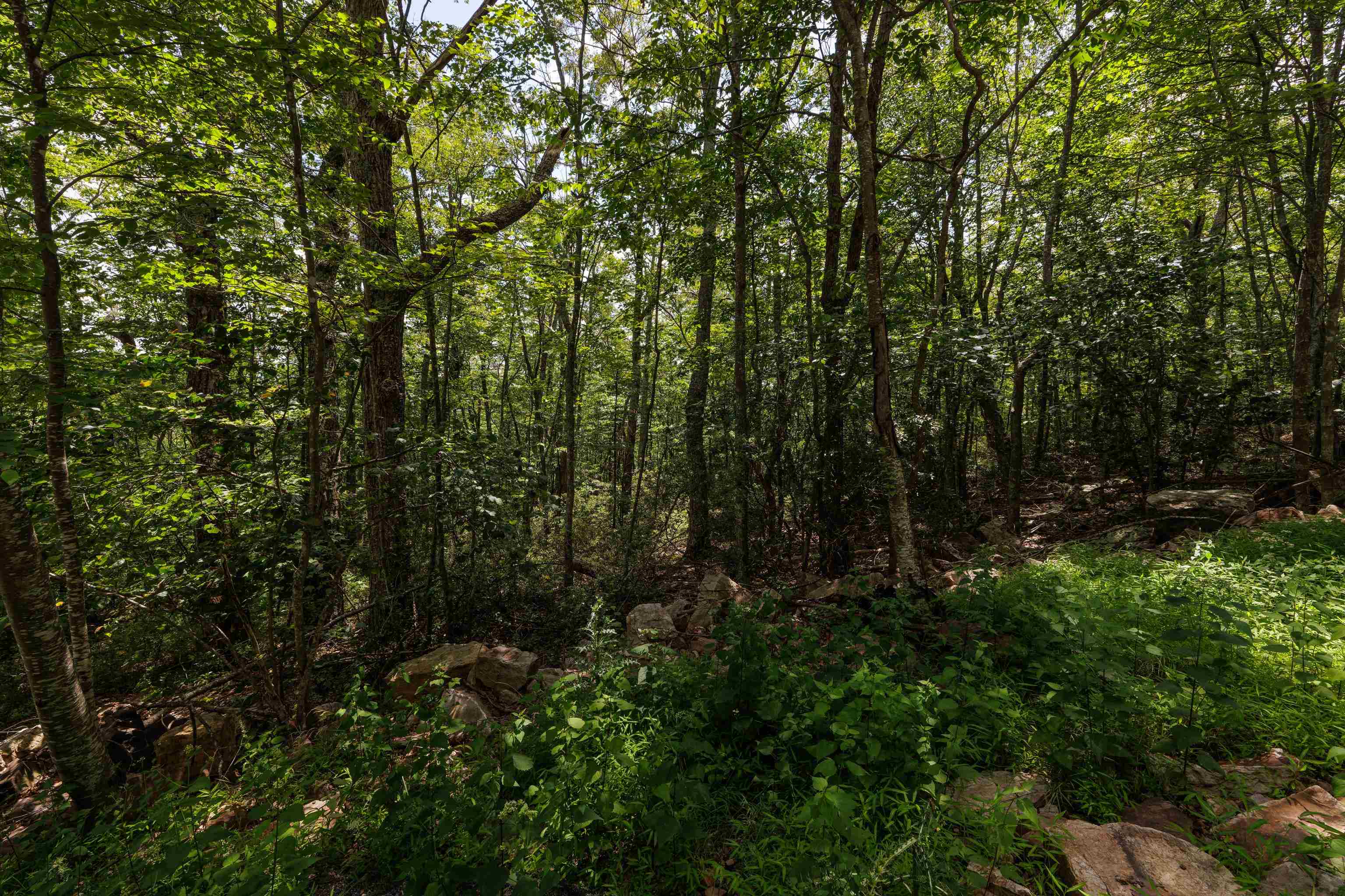 TBD HIGH VALLEY SOUTH, MONTEREY, Virginia 24465, ,Land,TBD HIGH VALLEY SOUTH,668267 MLS # 668267