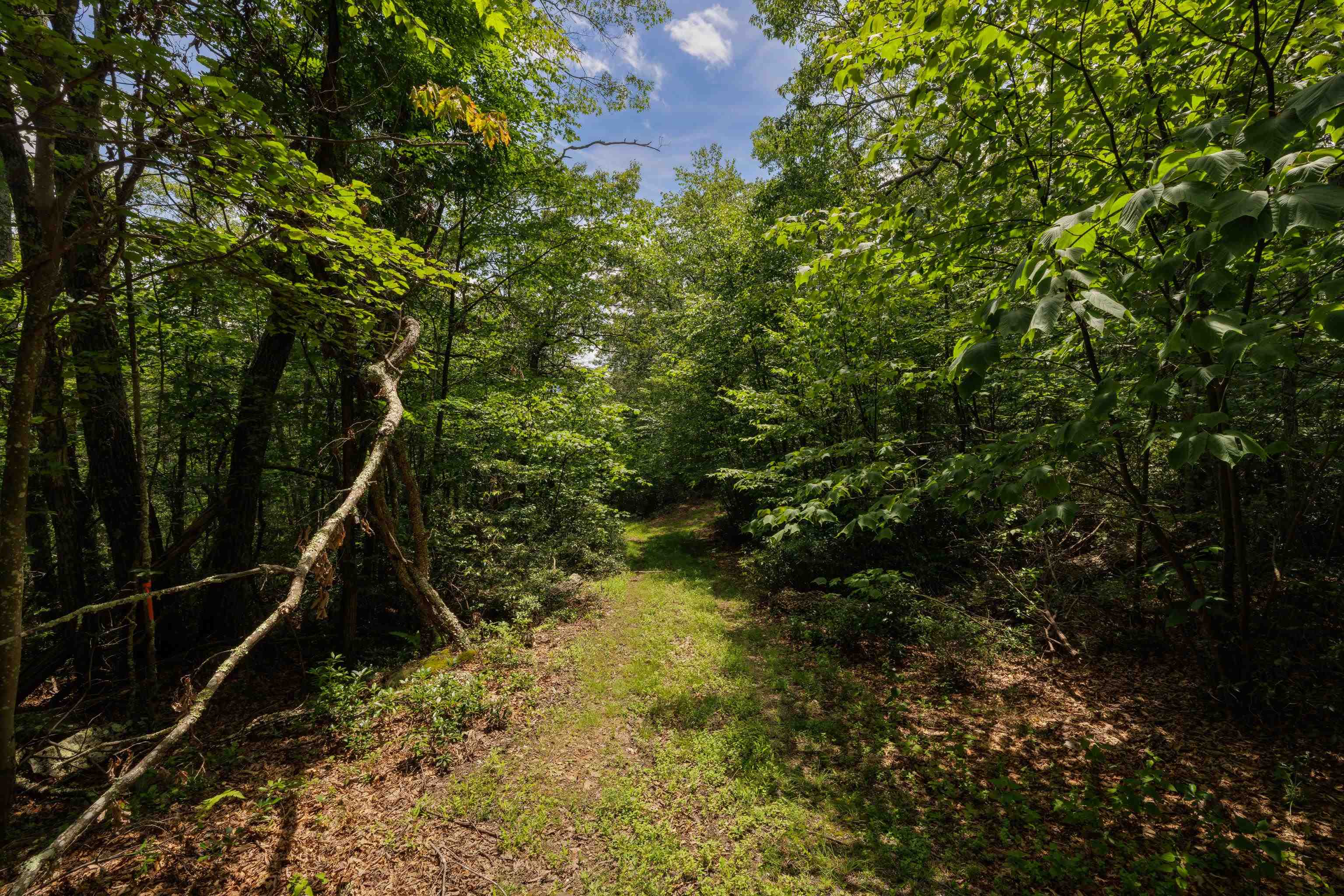 TBD HIGH VALLEY SOUTH, MONTEREY, Virginia 24465, ,Land,TBD HIGH VALLEY SOUTH,668267 MLS # 668267