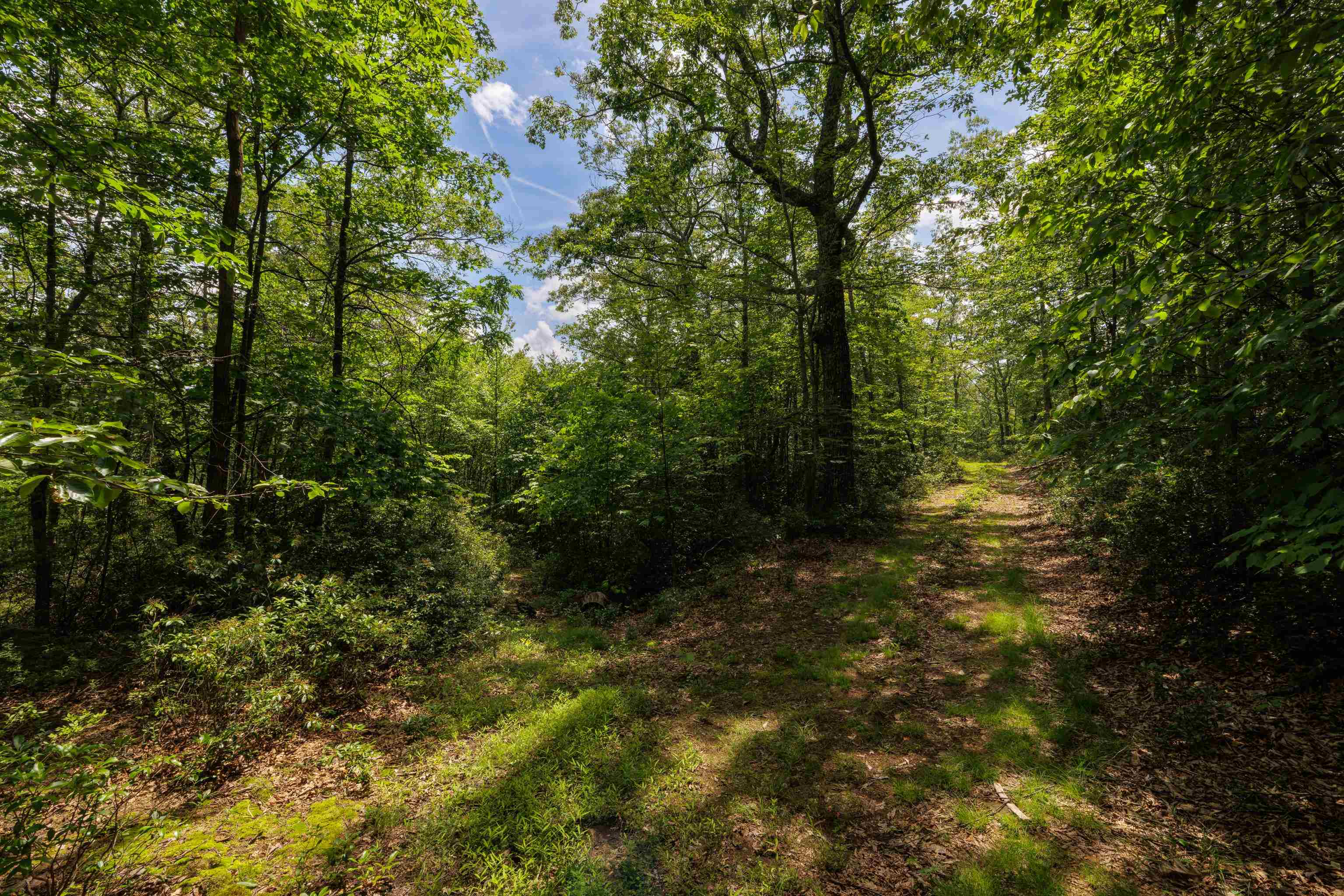 TBD HIGH VALLEY SOUTH, MONTEREY, Virginia 24465, ,Land,TBD HIGH VALLEY SOUTH,668267 MLS # 668267