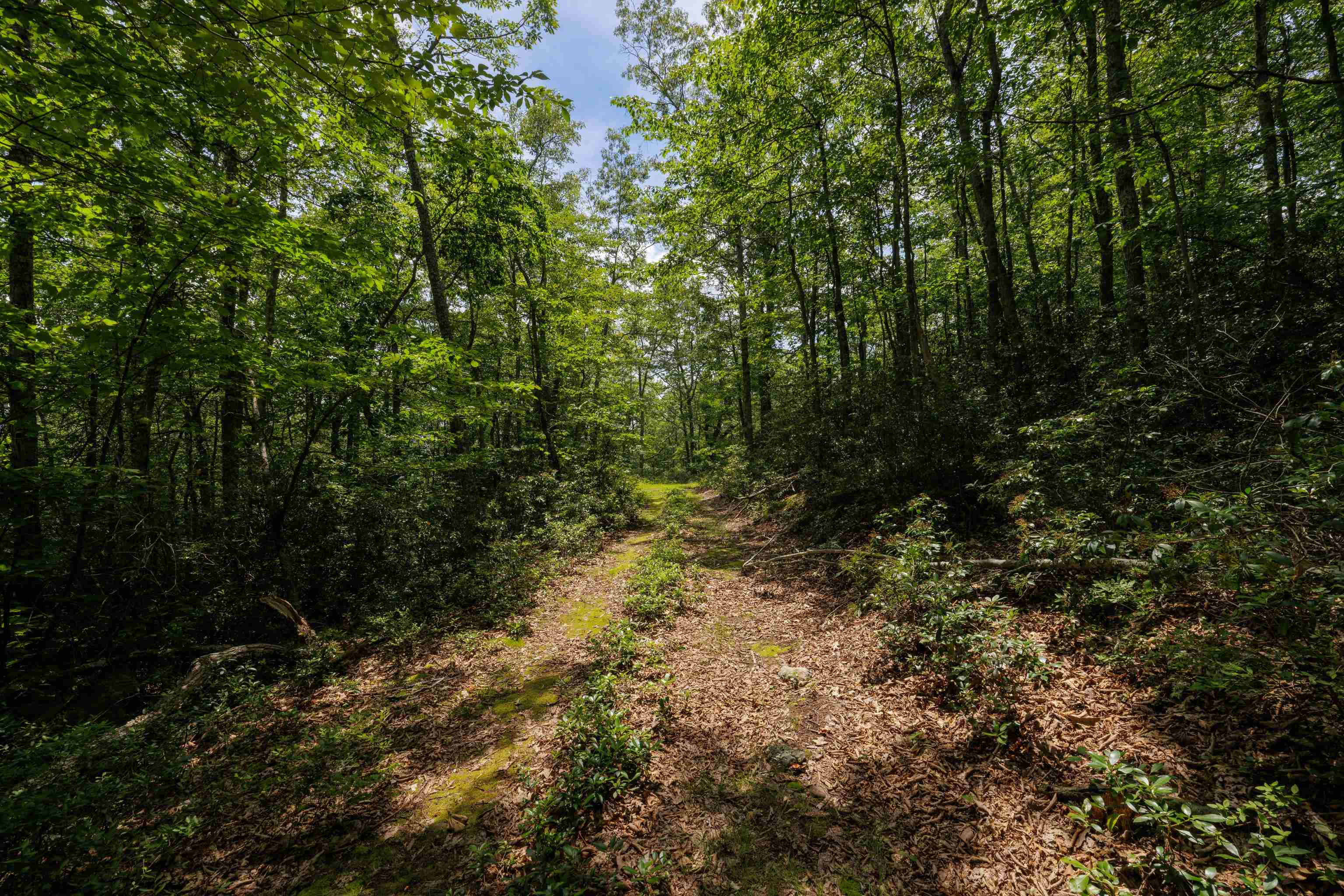 TBD HIGH VALLEY SOUTH, MONTEREY, Virginia 24465, ,Land,TBD HIGH VALLEY SOUTH,668267 MLS # 668267