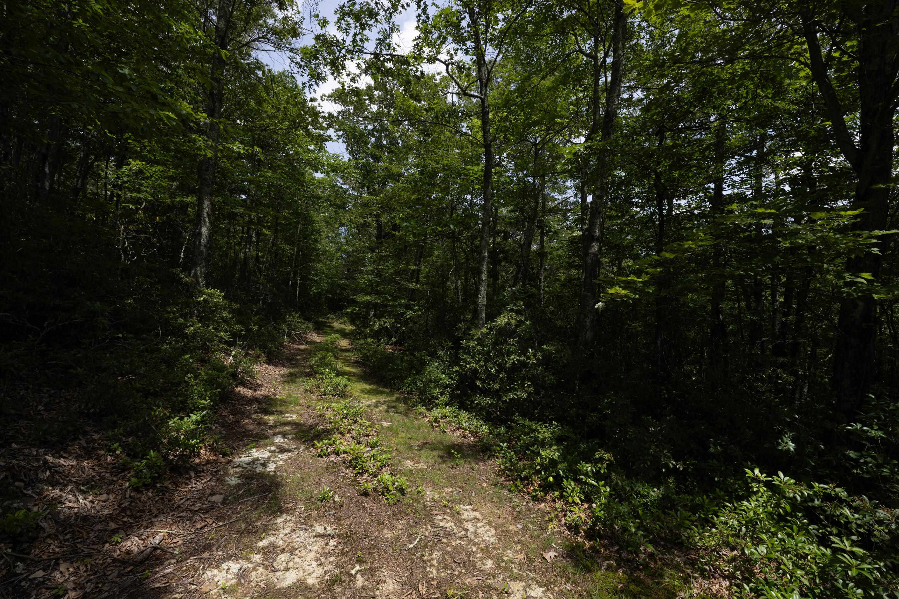 TBD HIGH VALLEY SOUTH, MONTEREY, Virginia 24465, ,Land,TBD HIGH VALLEY SOUTH,668267 MLS # 668267