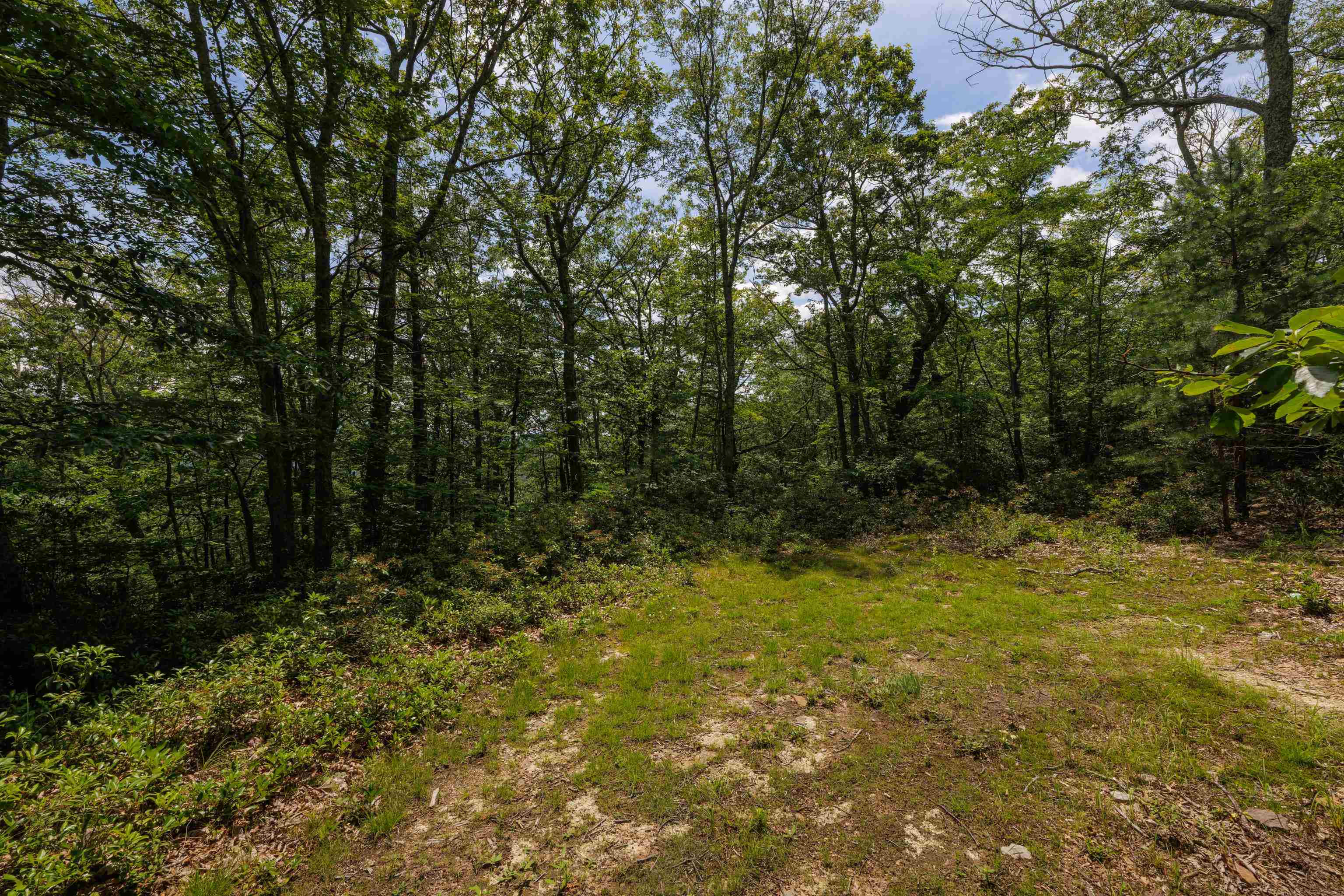 TBD HIGH VALLEY SOUTH, MONTEREY, Virginia 24465, ,Land,TBD HIGH VALLEY SOUTH,668267 MLS # 668267