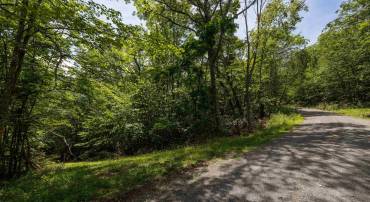 TBD HIGH VALLEY SOUTH, MONTEREY, Virginia 24465, ,Land,TBD HIGH VALLEY SOUTH,668267 MLS # 668267
