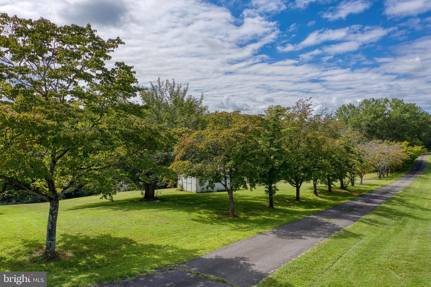 13151 BERRY LN, BOSTON, Virginia 22713, 3 Bedrooms Bedrooms, ,2 BathroomsBathrooms,Residential,For sale,13151 BERRY LN,VACU2011424 MLS # VACU2011424