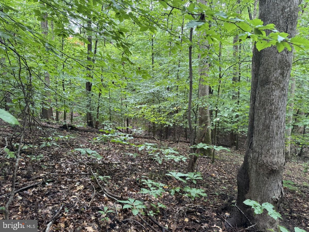 0 IDA ST, DANVILLE, Virginia 24541, ,Land,For sale,0 IDA ST,VAPI2000106 MLS # VAPI2000106