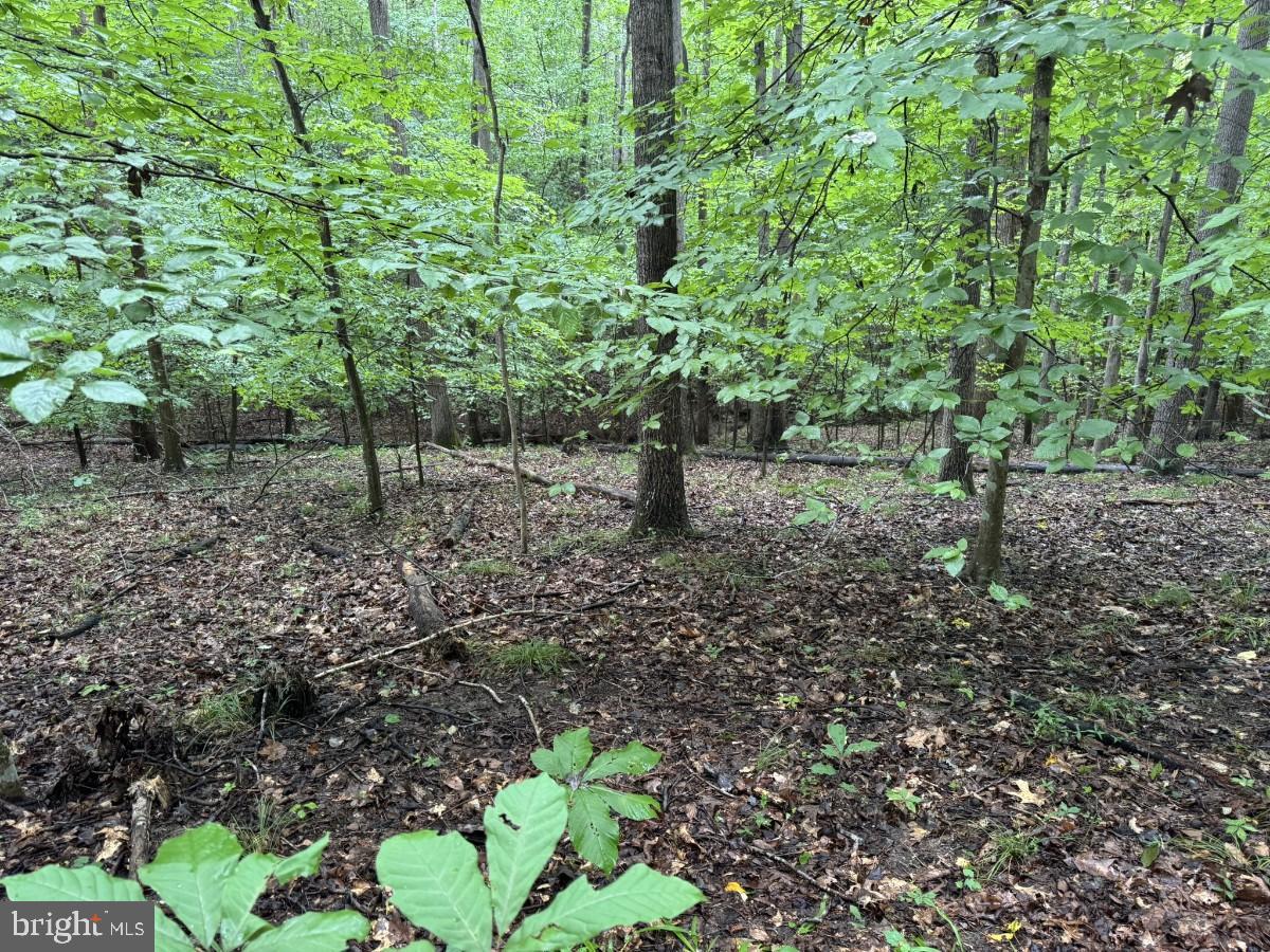 0 IDA ST, DANVILLE, Virginia 24541, ,Land,For sale,0 IDA ST,VAPI2000106 MLS # VAPI2000106