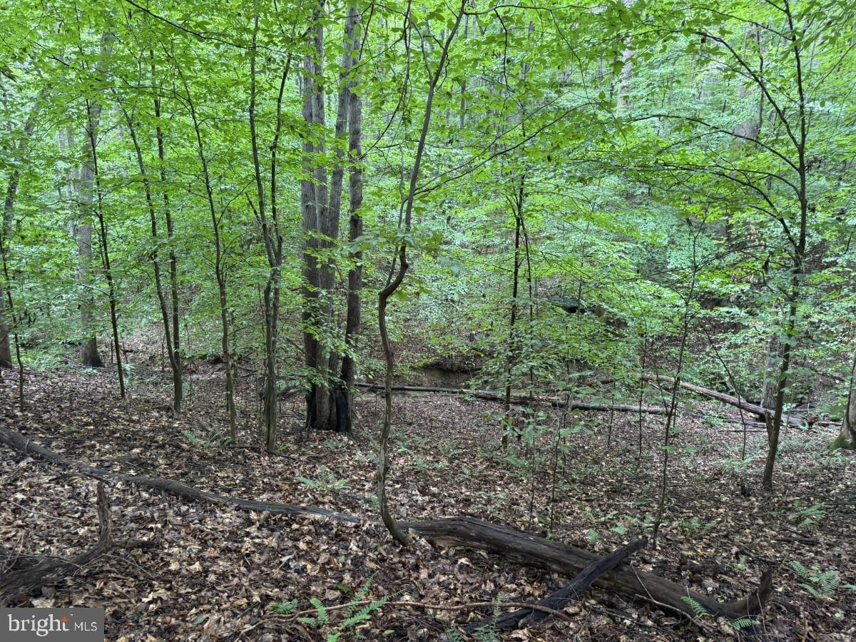0 IDA ST, DANVILLE, Virginia 24541, ,Land,For sale,0 IDA ST,VAPI2000106 MLS # VAPI2000106
