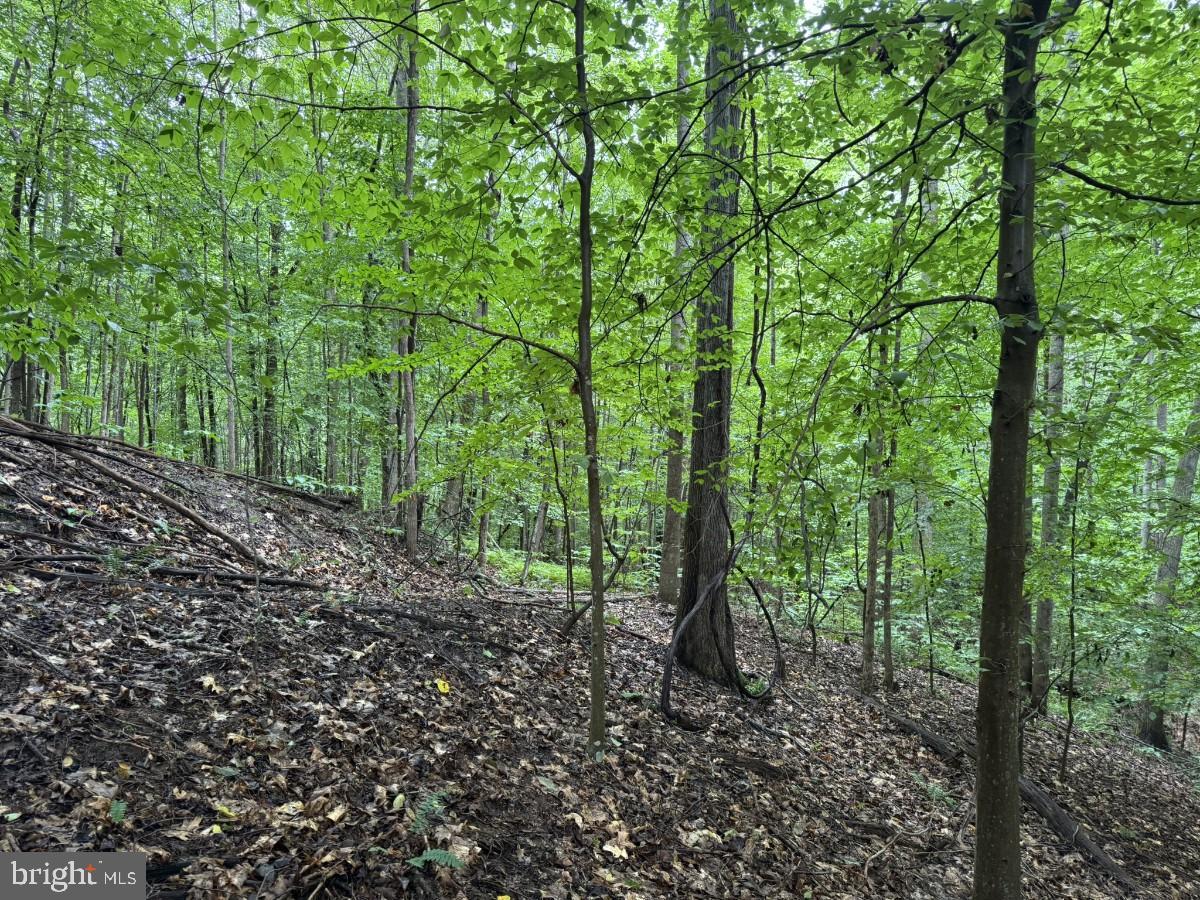 0 IDA ST, DANVILLE, Virginia 24541, ,Land,For sale,0 IDA ST,VAPI2000106 MLS # VAPI2000106