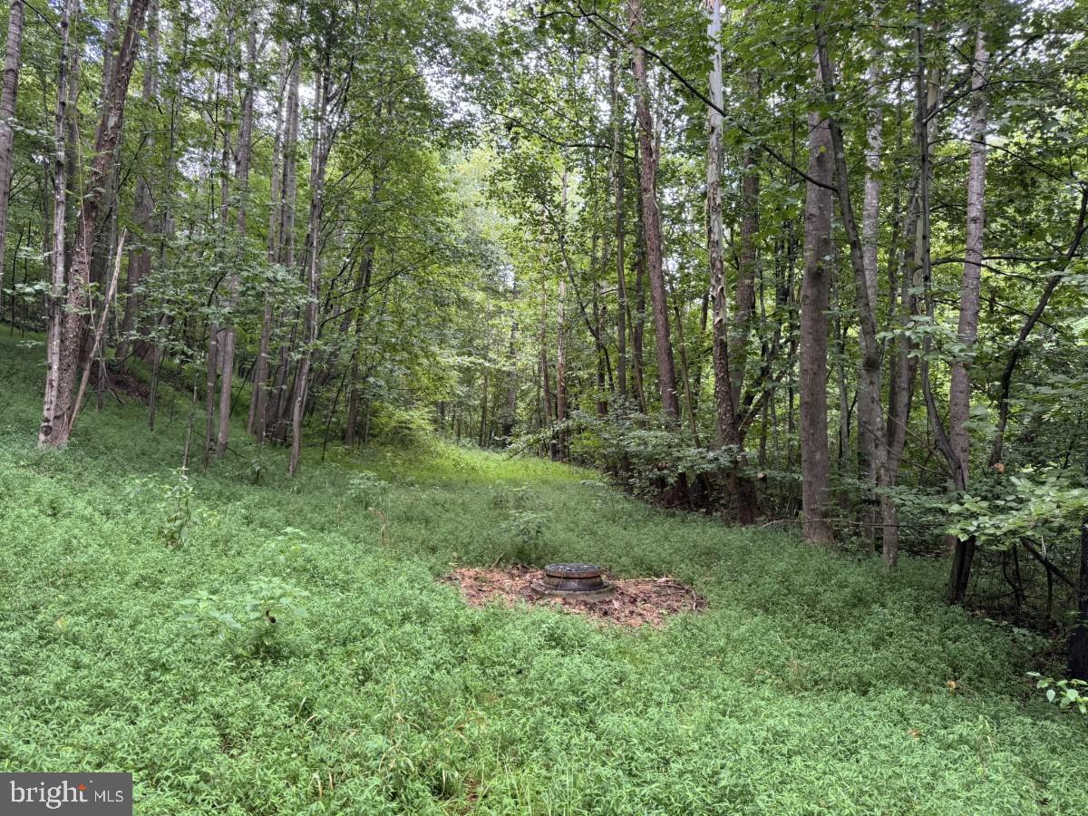 0 IDA ST, DANVILLE, Virginia 24541, ,Land,For sale,0 IDA ST,VAPI2000106 MLS # VAPI2000106
