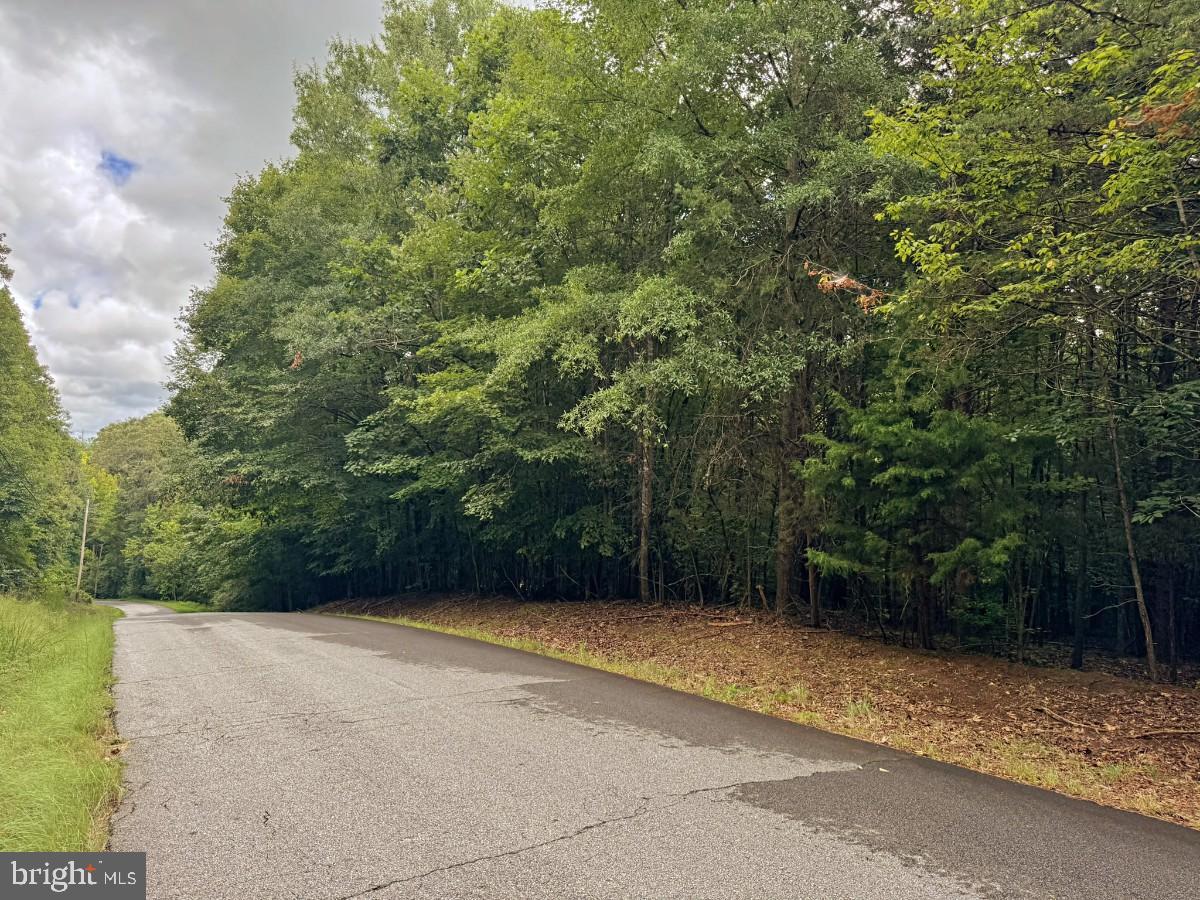 0 IDA ST, DANVILLE, Virginia 24541, ,Land,For sale,0 IDA ST,VAPI2000106 MLS # VAPI2000106