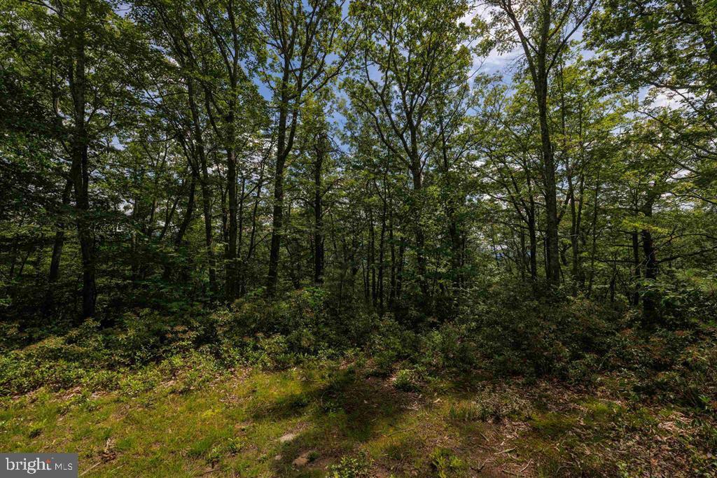 0 HIGH VALLEY SOUTH, MONTEREY, Virginia 24465, ,Land,For sale,0 HIGH VALLEY SOUTH,VAHL2000062 MLS # VAHL2000062