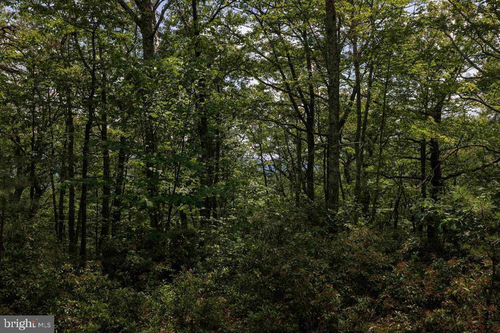 0 HIGH VALLEY SOUTH, MONTEREY, Virginia 24465, ,Land,For sale,0 HIGH VALLEY SOUTH,VAHL2000062 MLS # VAHL2000062