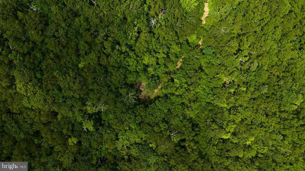 0 HIGH VALLEY SOUTH, MONTEREY, Virginia 24465, ,Land,For sale,0 HIGH VALLEY SOUTH,VAHL2000062 MLS # VAHL2000062