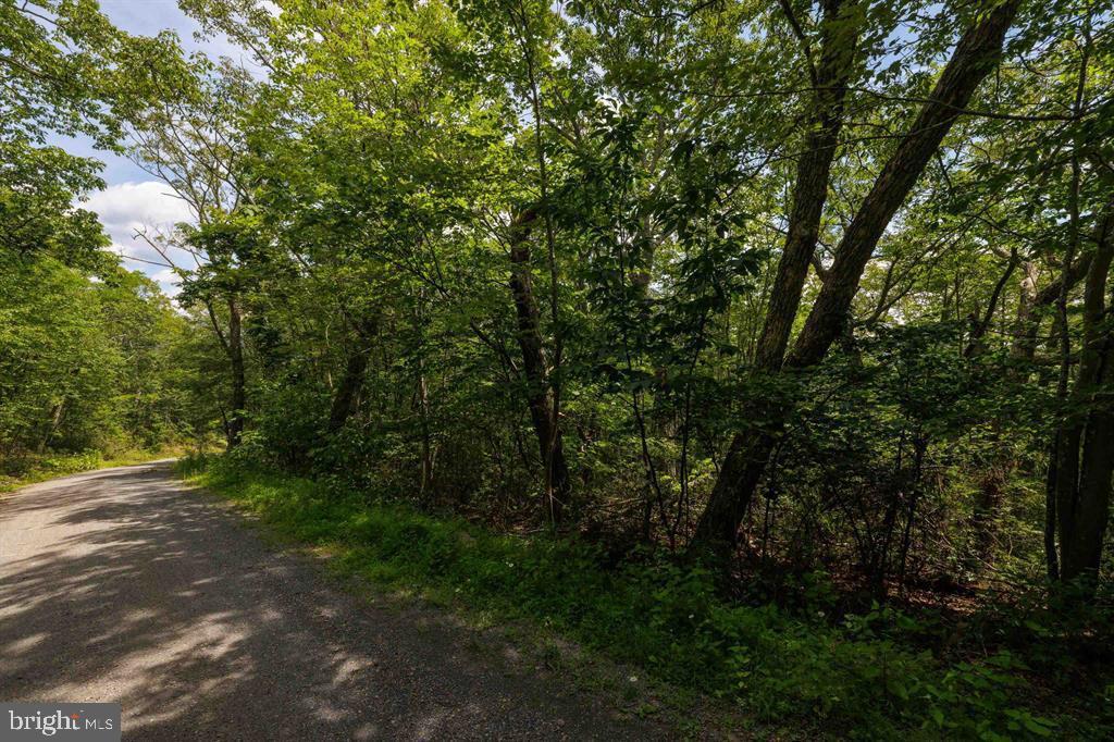 0 HIGH VALLEY SOUTH, MONTEREY, Virginia 24465, ,Land,For sale,0 HIGH VALLEY SOUTH,VAHL2000062 MLS # VAHL2000062