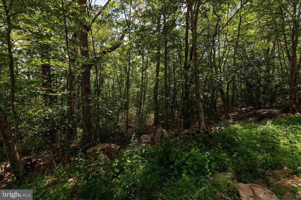 0 HIGH VALLEY SOUTH, MONTEREY, Virginia 24465, ,Land,For sale,0 HIGH VALLEY SOUTH,VAHL2000062 MLS # VAHL2000062