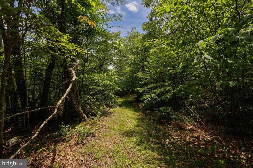 0 HIGH VALLEY SOUTH, MONTEREY, Virginia 24465, ,Land,For sale,0 HIGH VALLEY SOUTH,VAHL2000062 MLS # VAHL2000062