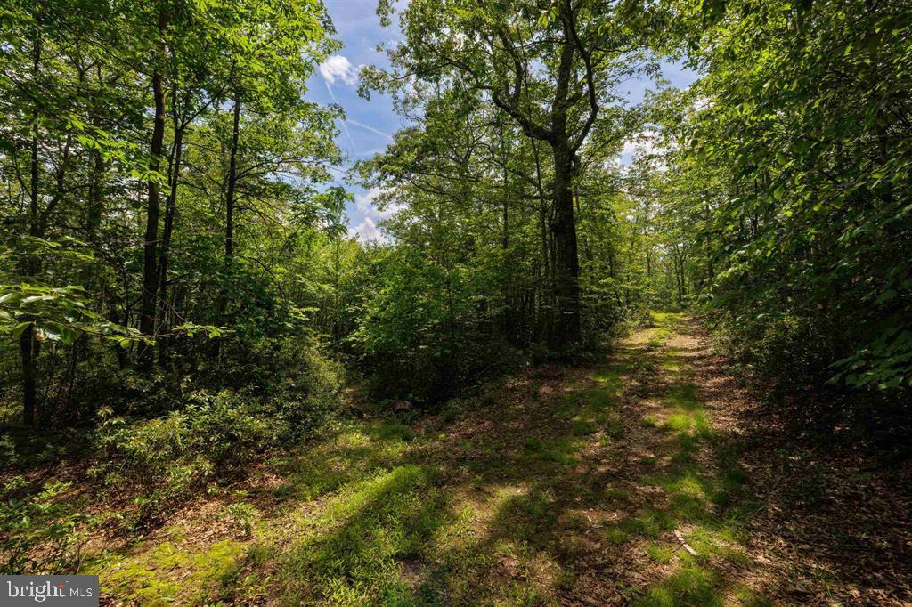 0 HIGH VALLEY SOUTH, MONTEREY, Virginia 24465, ,Land,For sale,0 HIGH VALLEY SOUTH,VAHL2000062 MLS # VAHL2000062