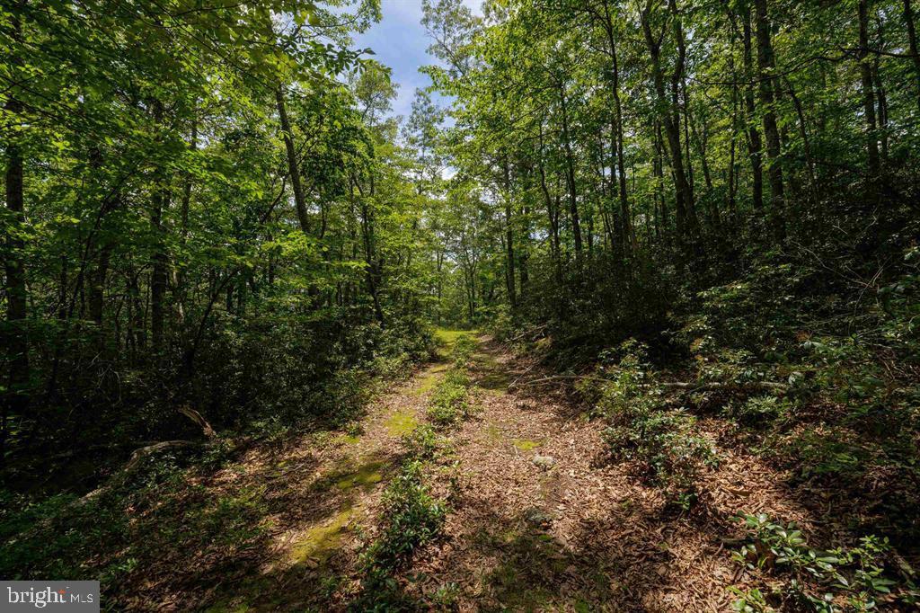 0 HIGH VALLEY SOUTH, MONTEREY, Virginia 24465, ,Land,For sale,0 HIGH VALLEY SOUTH,VAHL2000062 MLS # VAHL2000062