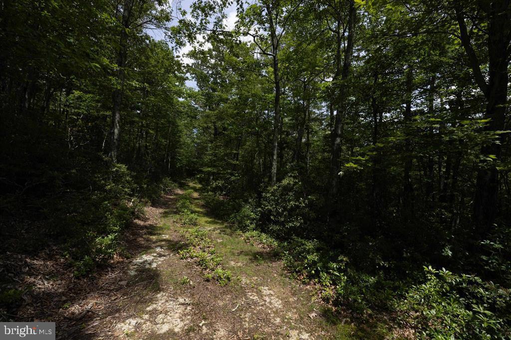 0 HIGH VALLEY SOUTH, MONTEREY, Virginia 24465, ,Land,For sale,0 HIGH VALLEY SOUTH,VAHL2000062 MLS # VAHL2000062