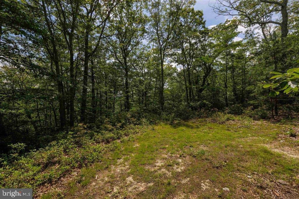 0 HIGH VALLEY SOUTH, MONTEREY, Virginia 24465, ,Land,For sale,0 HIGH VALLEY SOUTH,VAHL2000062 MLS # VAHL2000062