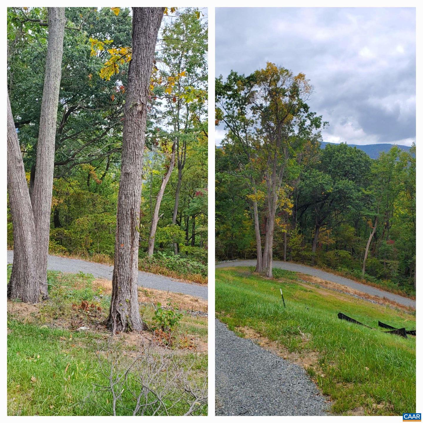 118 LEXINGTON CT #7, STANARDSVILLE, Virginia 22973, ,Land,For sale,118 LEXINGTON CT #7,668285 MLS # 668285