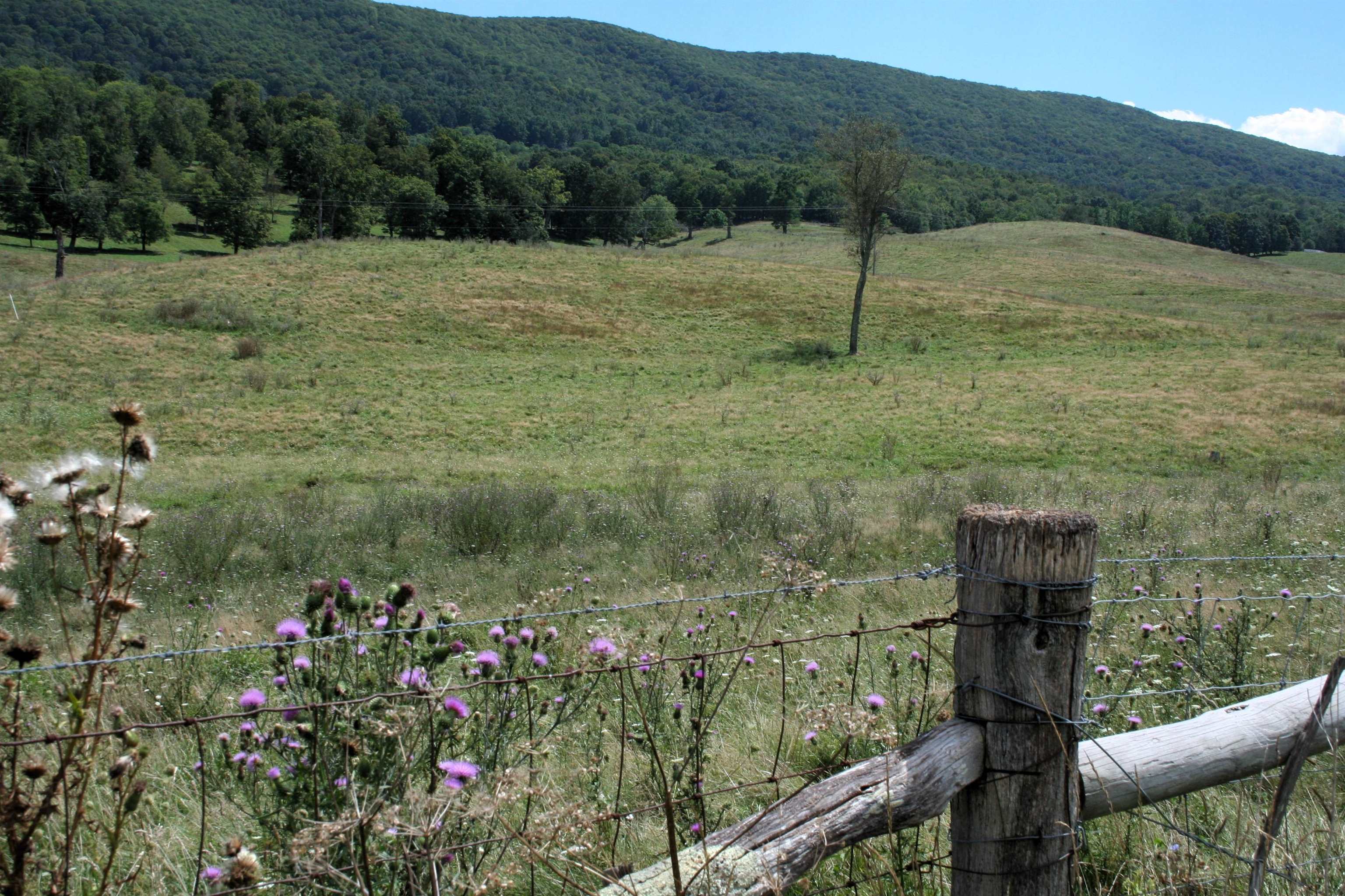 TBD MILL GAP RD, MONTEREY, Virginia 24465, ,Land,TBD MILL GAP RD,668300 MLS # 668300