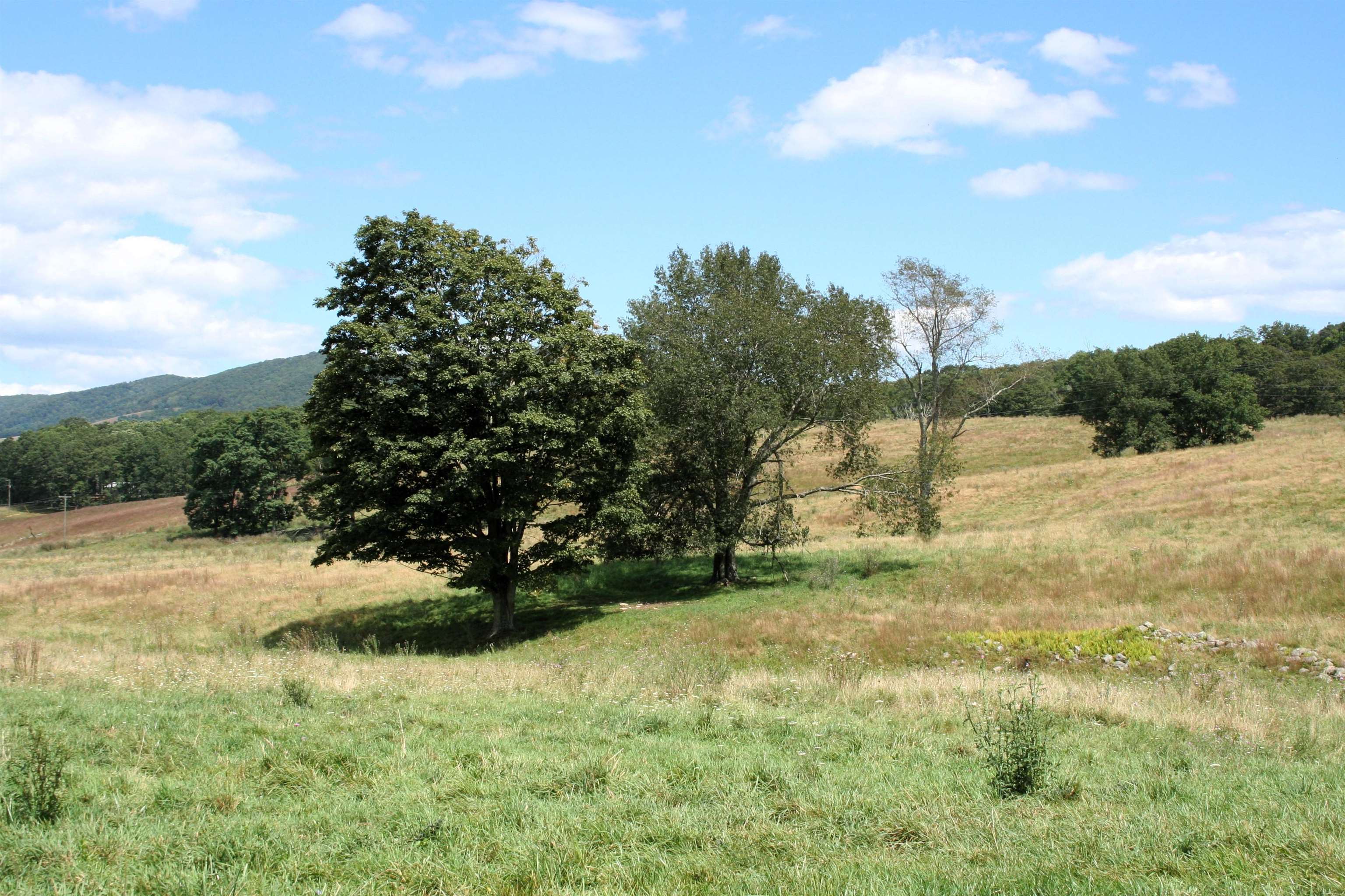 TBD MILL GAP RD, MONTEREY, Virginia 24465, ,Land,TBD MILL GAP RD,668300 MLS # 668300