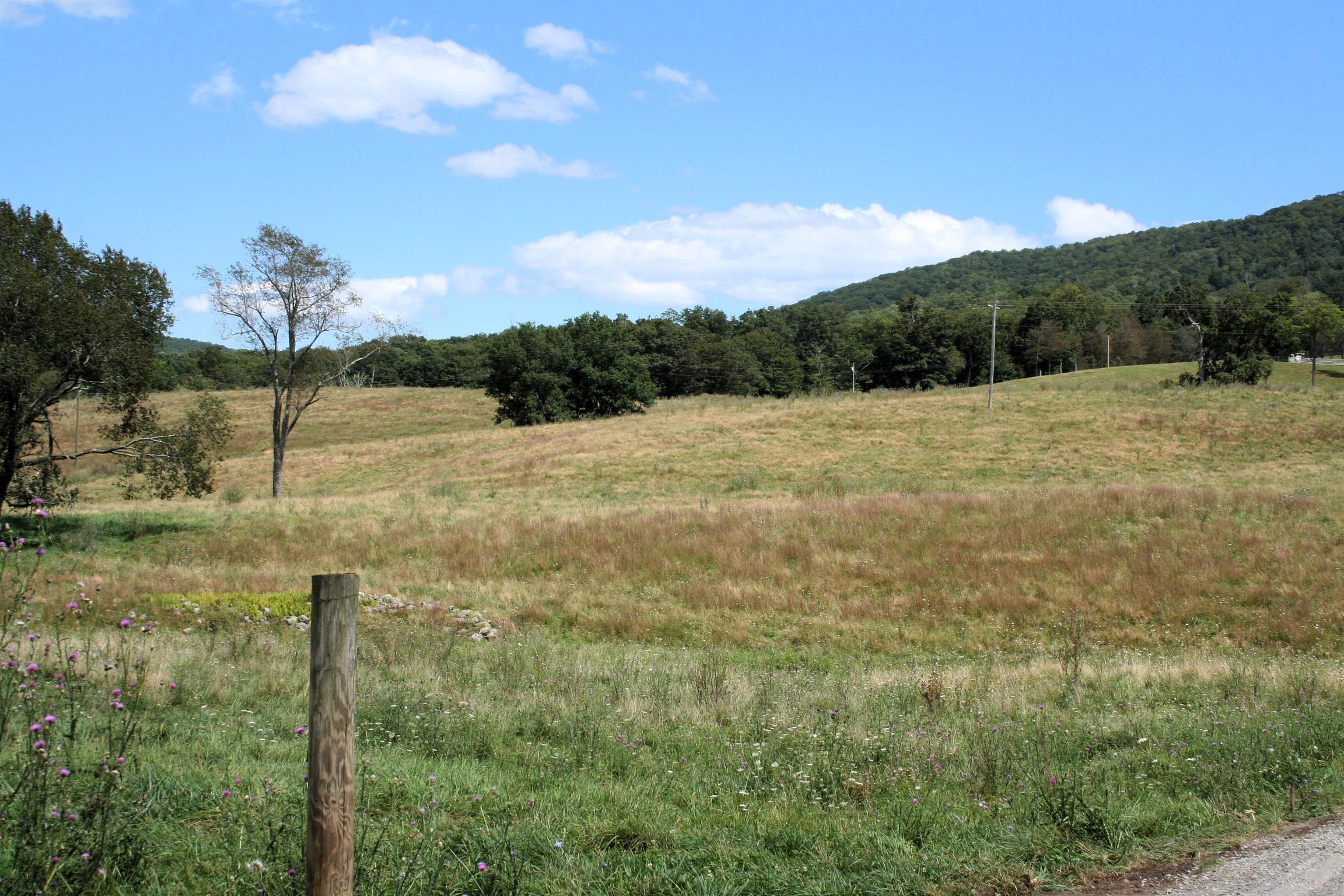 TBD MILL GAP RD, MONTEREY, Virginia 24465, ,Land,TBD MILL GAP RD,668300 MLS # 668300