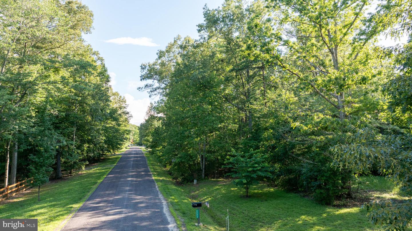 6200 BILLS RD, MINERAL, Virginia 23117, ,Land,For sale,6200 BILLS RD,VASP2027298 MLS # VASP2027298