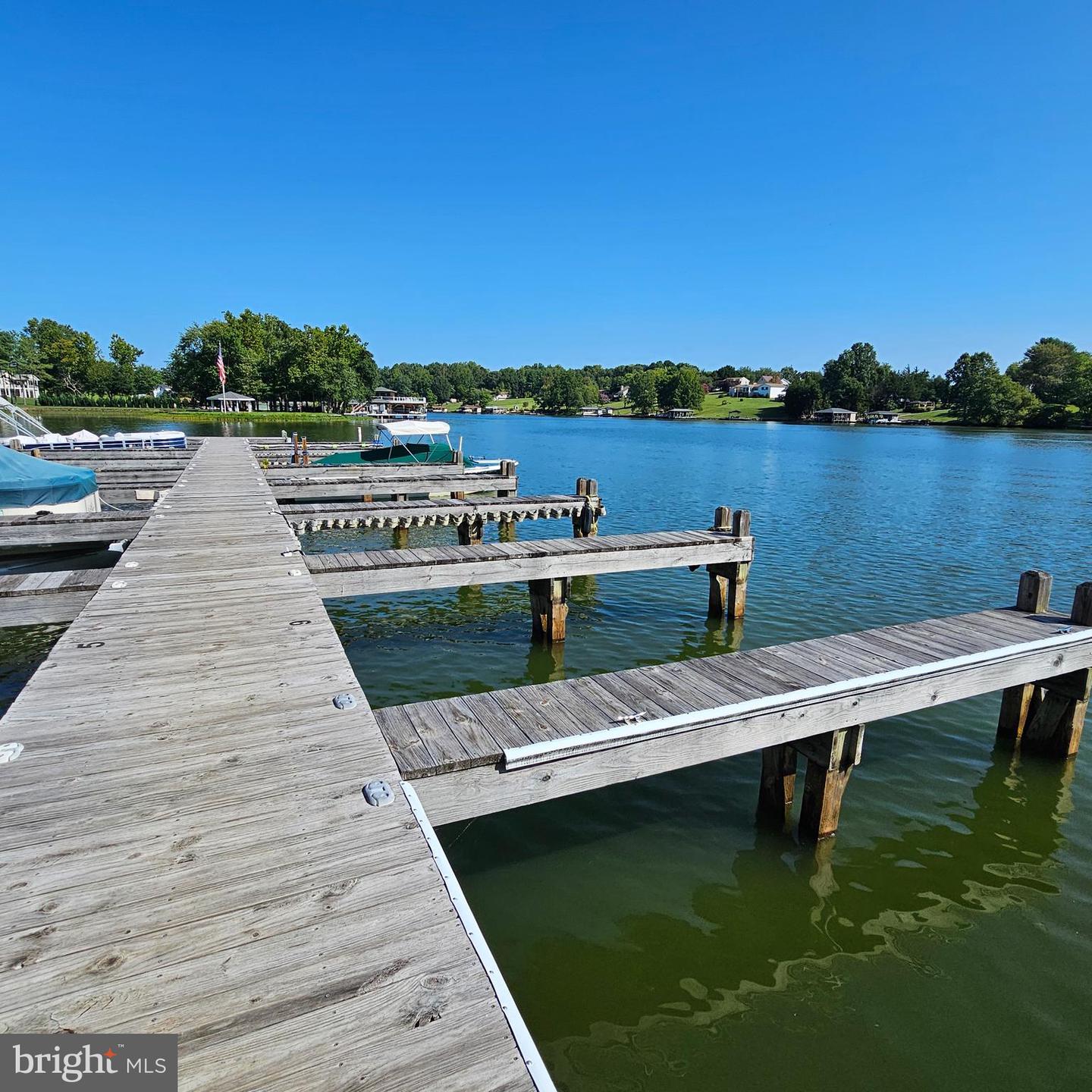 6202 BILLS RD, MINERAL, Virginia 23117, ,Land,For sale,6202 BILLS RD,VASP2027300 MLS # VASP2027300 6202 BILLS RD, MINERAL, Virginia 23117, ,Land,For sale,6202 BILLS RD,VASP2027300 MLS # VASP2027300