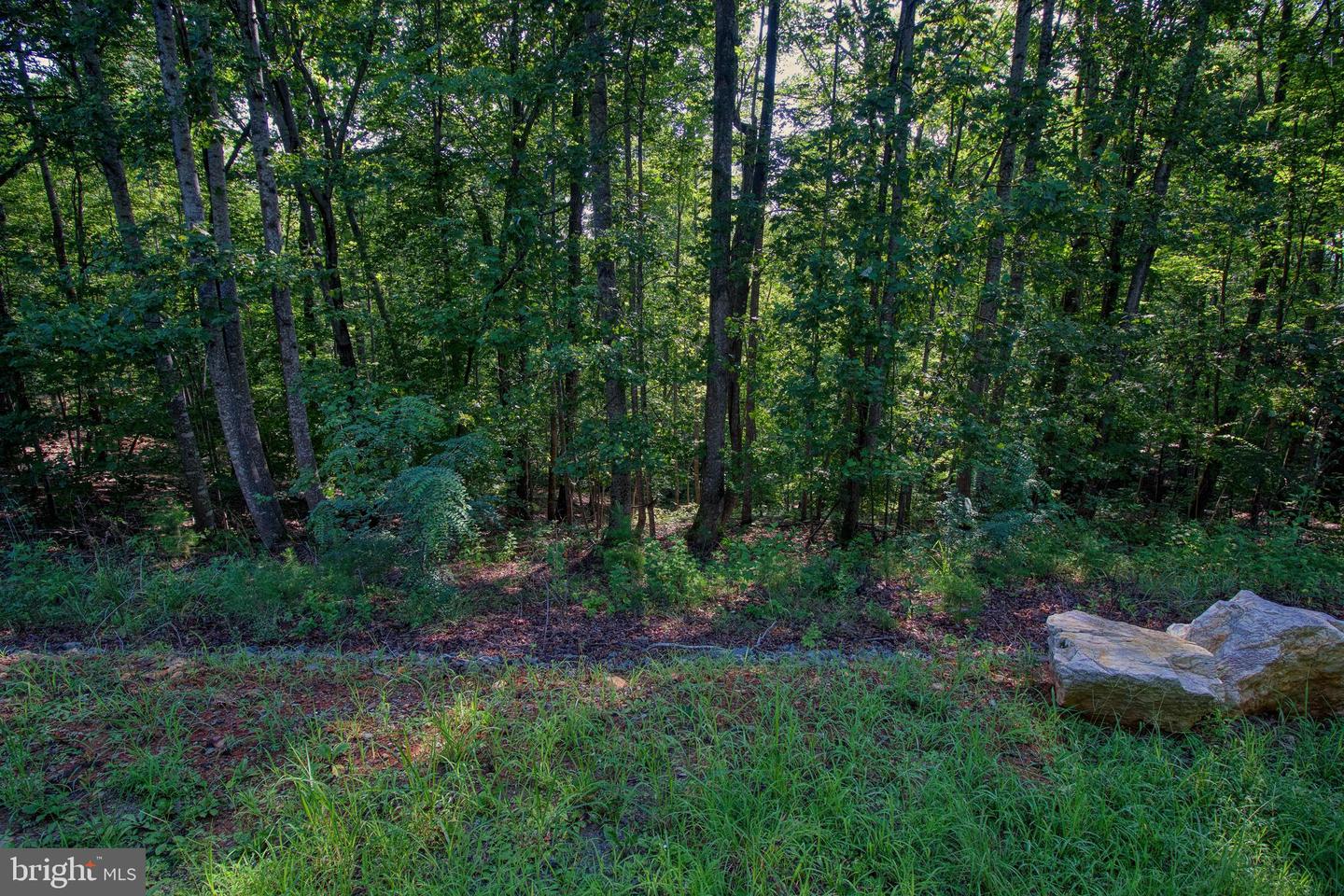 00 LEESVILLE LAKE DR, PITTSVILLE, Virginia 24139, ,Land,For sale,00 LEESVILLE LAKE DR,VAPI2000104 MLS # VAPI2000104