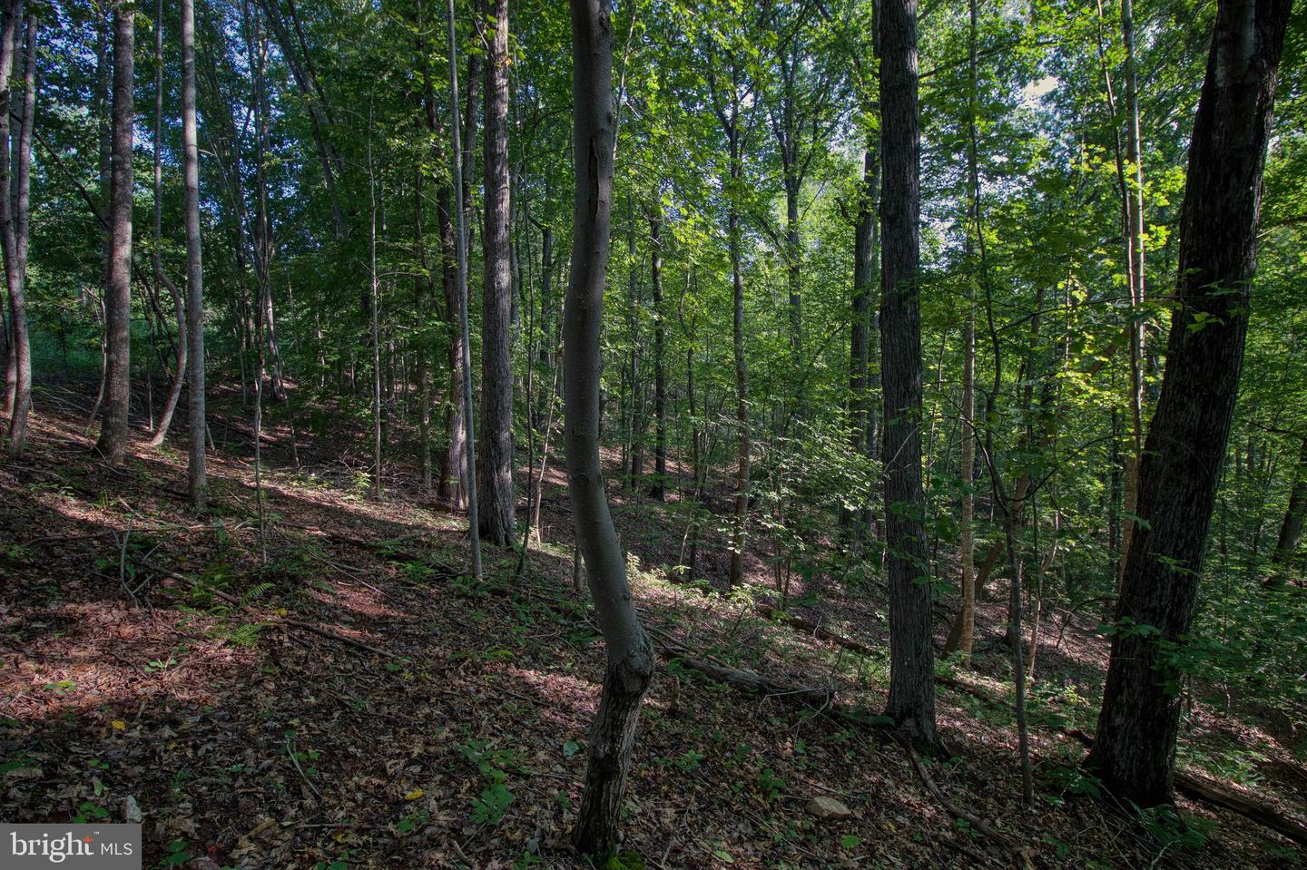 00 LEESVILLE LAKE DR, PITTSVILLE, Virginia 24139, ,Land,For sale,00 LEESVILLE LAKE DR,VAPI2000104 MLS # VAPI2000104