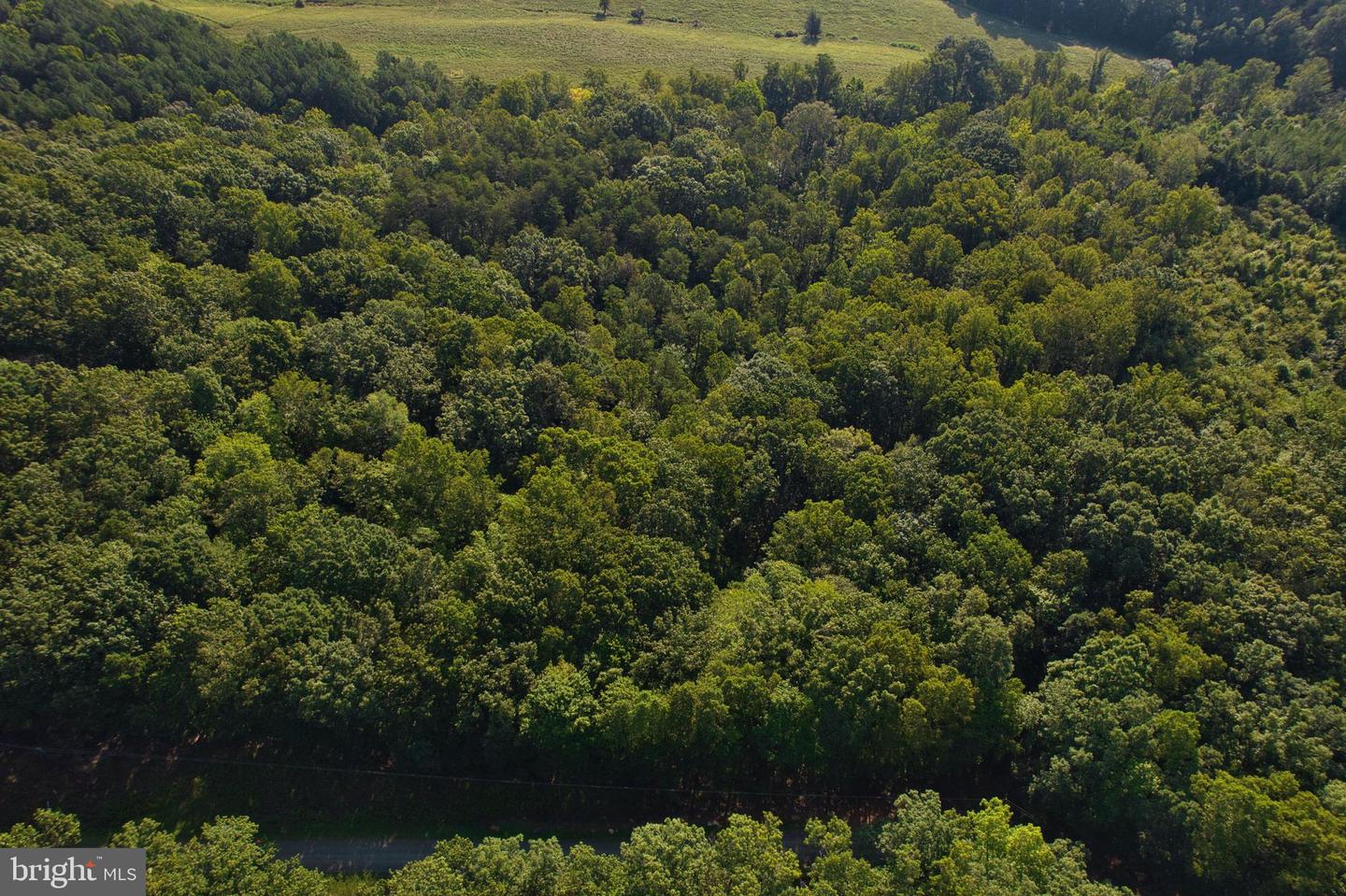 00 LEESVILLE LAKE DR, PITTSVILLE, Virginia 24139, ,Land,For sale,00 LEESVILLE LAKE DR,VAPI2000104 MLS # VAPI2000104