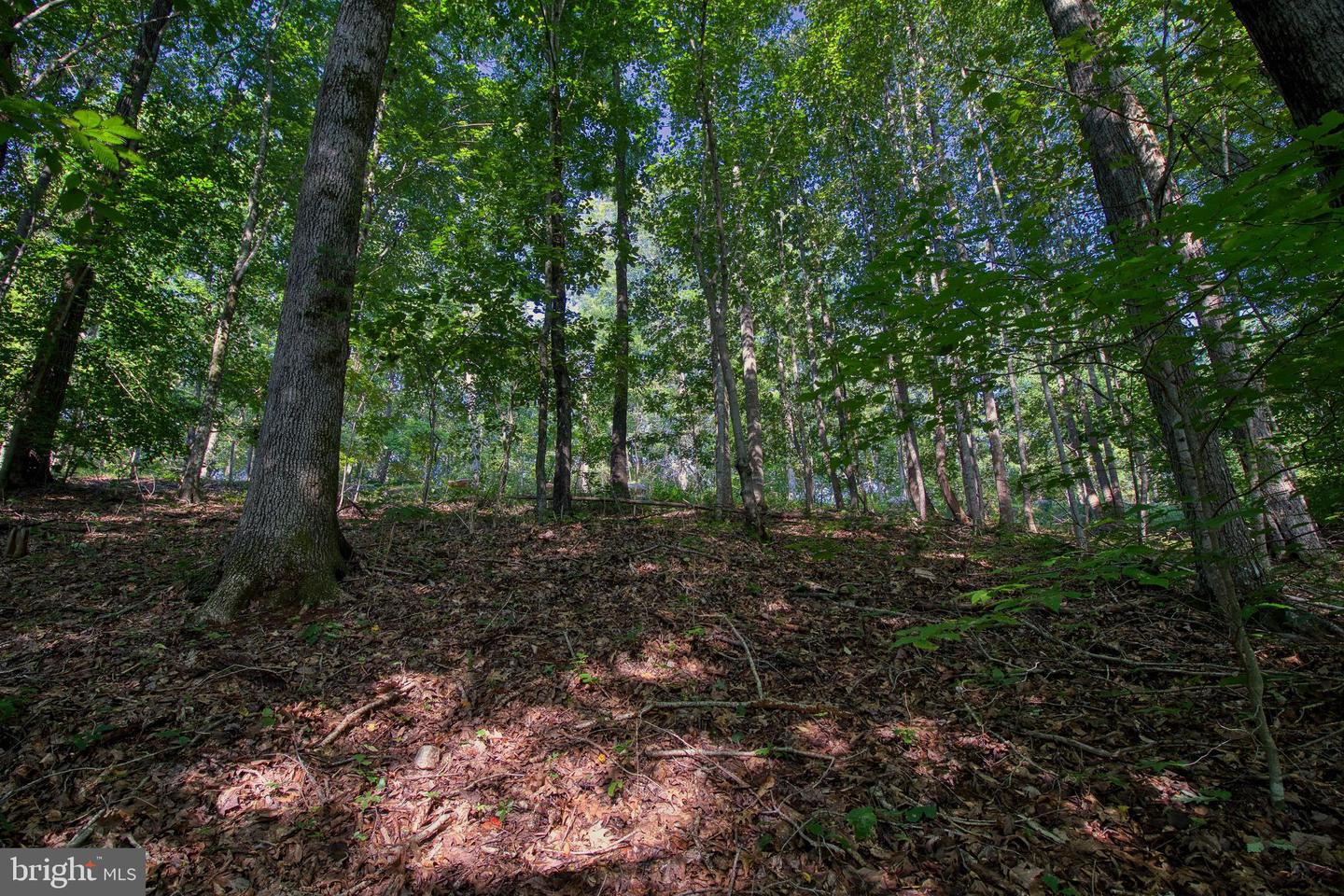 00 LEESVILLE LAKE DR, PITTSVILLE, Virginia 24139, ,Land,For sale,00 LEESVILLE LAKE DR,VAPI2000104 MLS # VAPI2000104