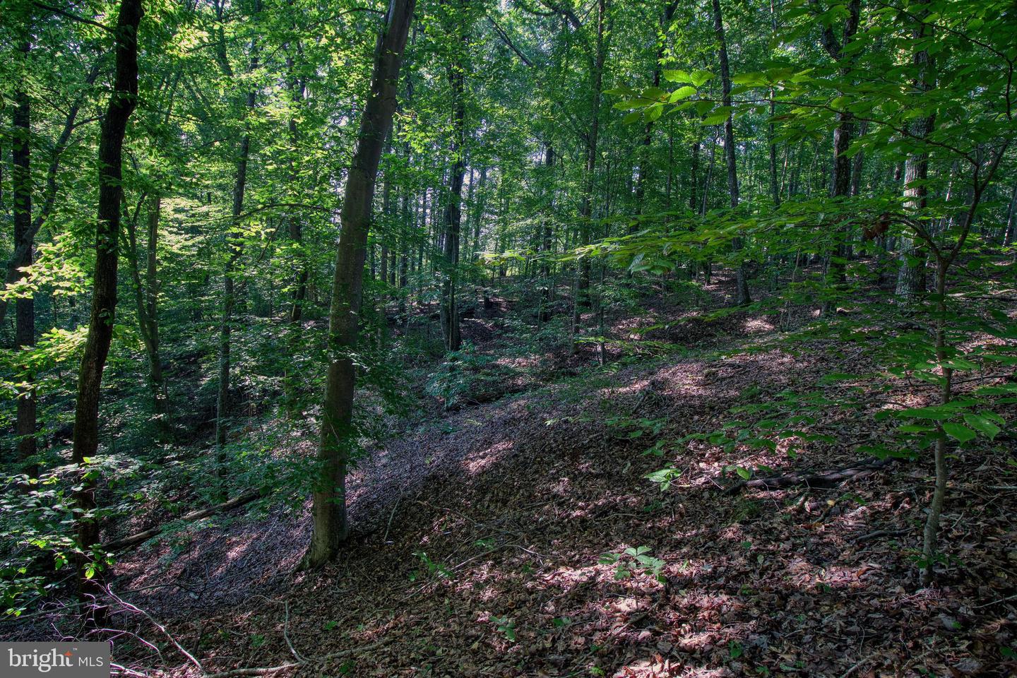 00 LEESVILLE LAKE DR, PITTSVILLE, Virginia 24139, ,Land,For sale,00 LEESVILLE LAKE DR,VAPI2000104 MLS # VAPI2000104