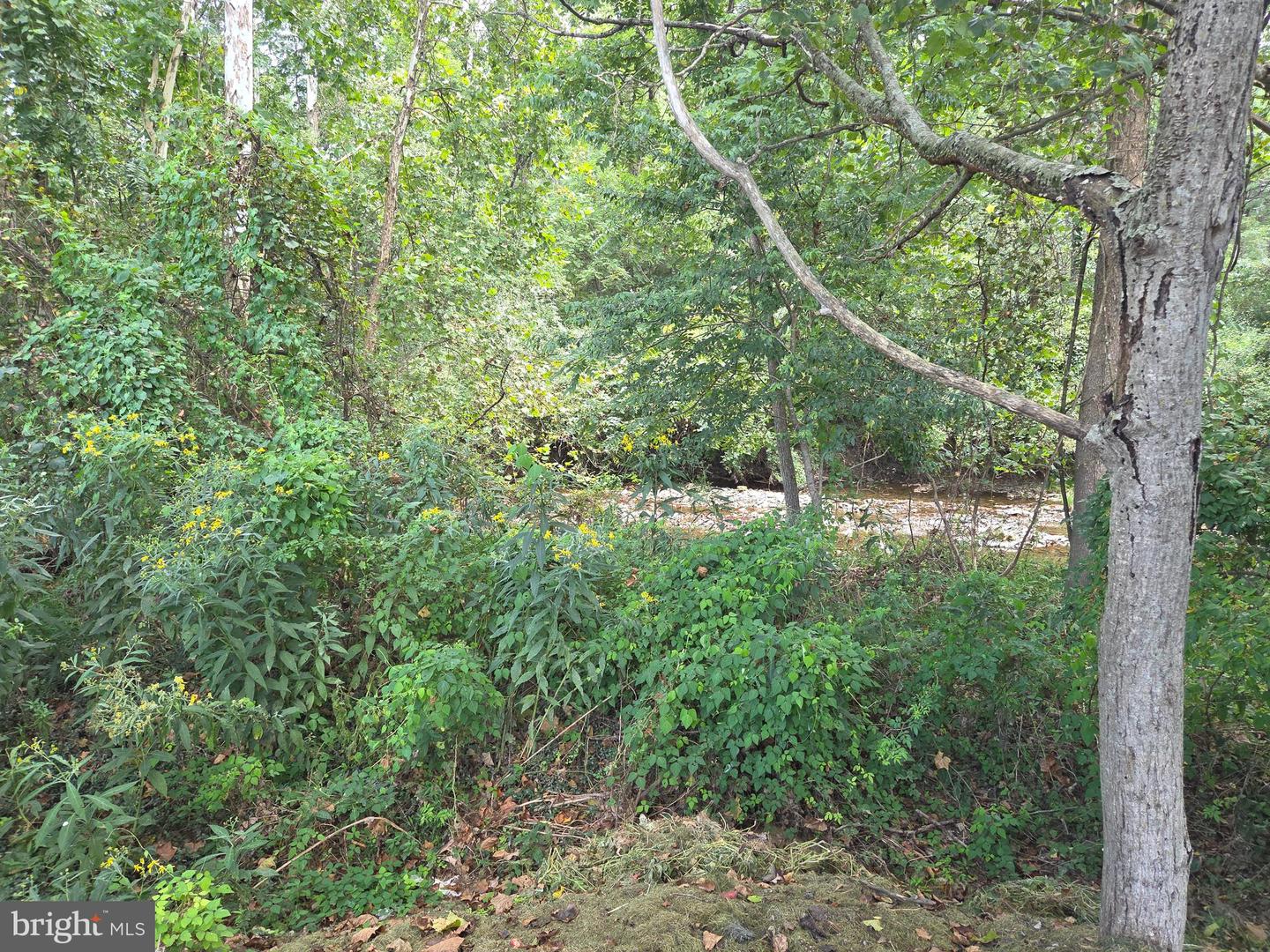 9833 IDAS LN, NEW MARKET, Virginia 22844, 1 Bedroom Bedrooms, ,1 BathroomBathrooms,Residential,For sale,9833 IDAS LN,VARO2002452 MLS # VARO2002452