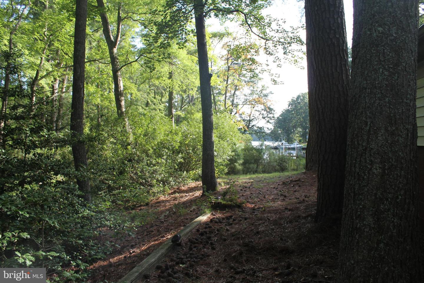 306 LIBERTY RD, REEDVILLE, Virginia 22539, 4 Bedrooms Bedrooms, ,2 BathroomsBathrooms,Residential,For sale,306 LIBERTY RD,VANV2001718 MLS # VANV2001718