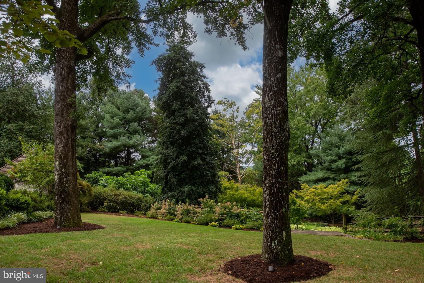 17 NELSON ST, FREDERICKSBURG, Virginia 22405, 3 Bedrooms Bedrooms, 8 Rooms Rooms,3 BathroomsBathrooms,Residential,For sale,17 NELSON ST,VAST2041934 MLS # VAST2041934