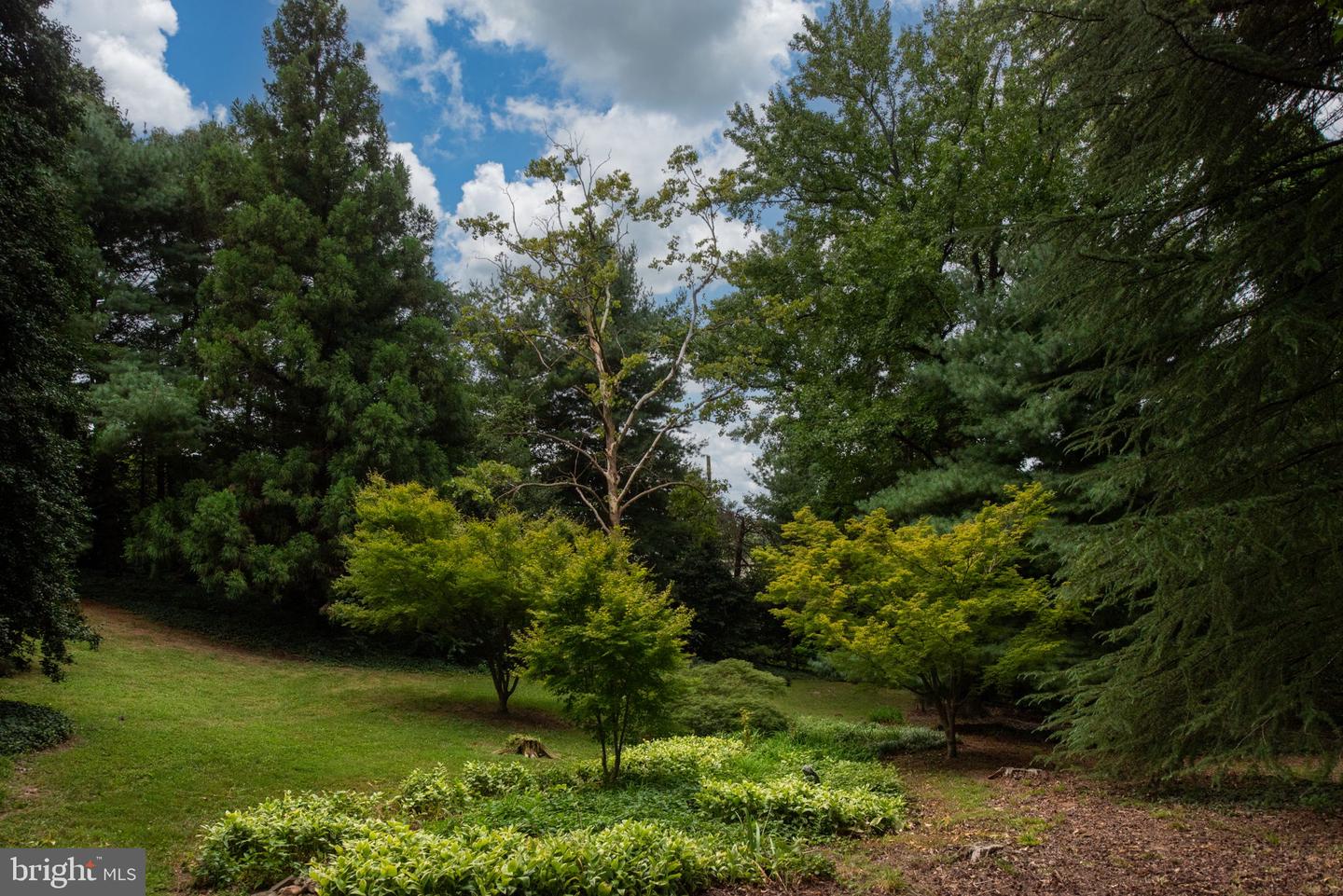 17 NELSON ST, FREDERICKSBURG, Virginia 22405, 3 Bedrooms Bedrooms, 8 Rooms Rooms,3 BathroomsBathrooms,Residential,For sale,17 NELSON ST,VAST2041934 MLS # VAST2041934
