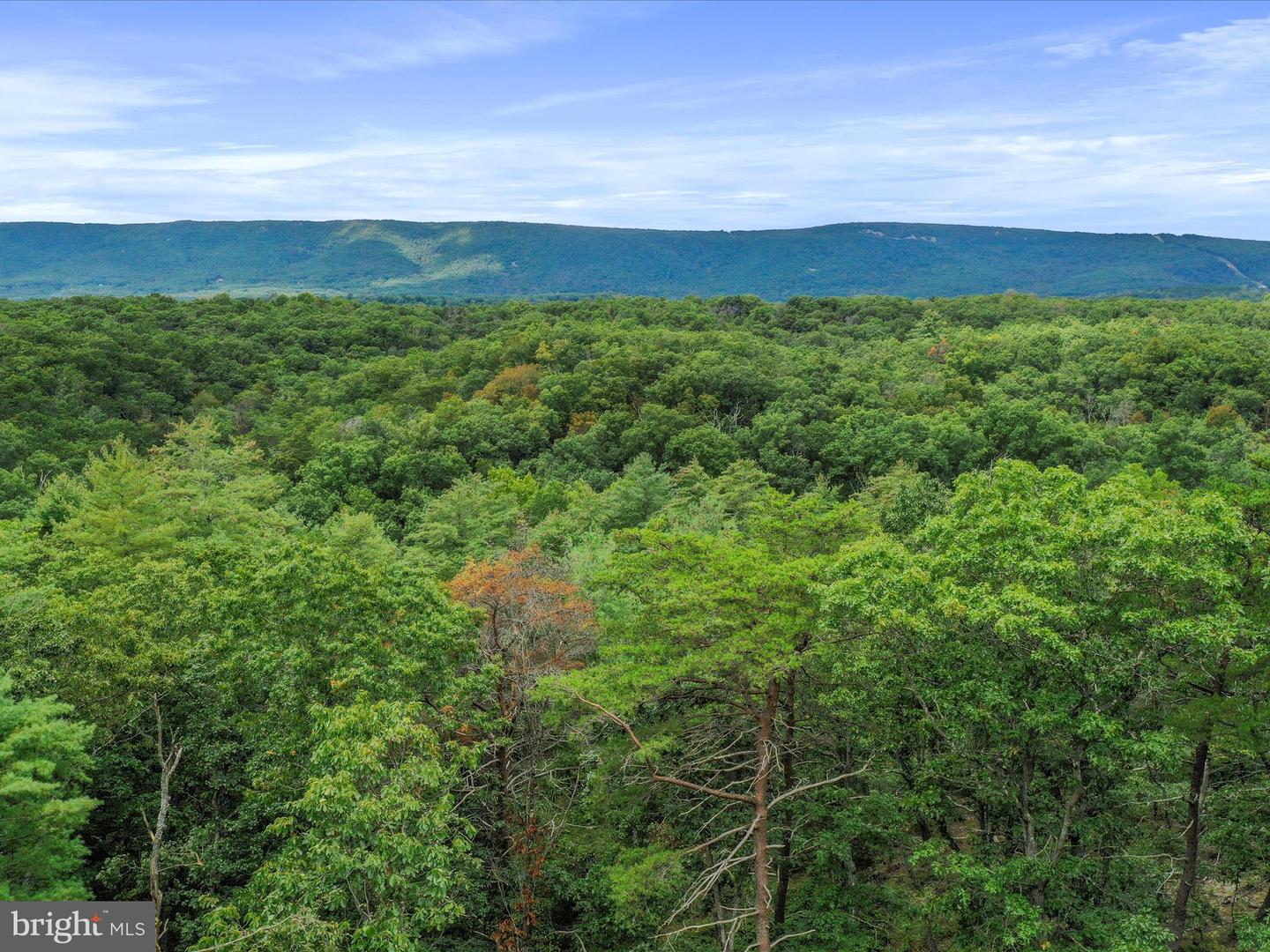 3782 WARDENSVILLE GRADE, WINCHESTER, Virginia 22602, 5 Bedrooms Bedrooms, ,4 BathroomsBathrooms,Residential,For sale,3782 WARDENSVILLE GRADE,VAFV2036412 MLS # VAFV2036412