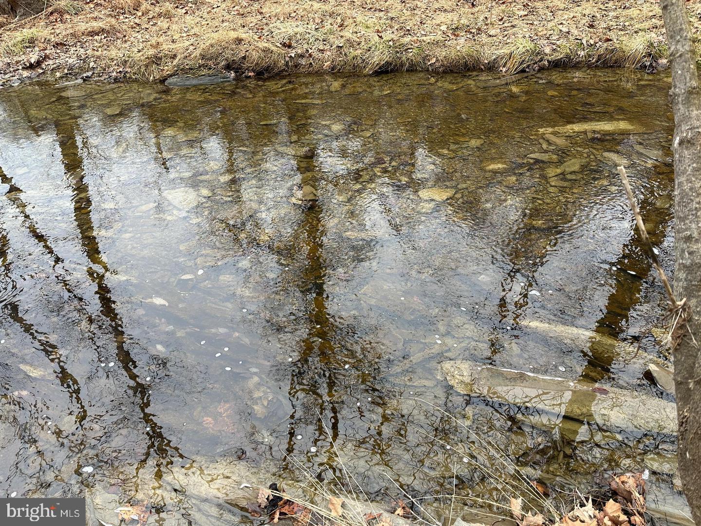 LOT 1B DOUBLE CHURCH RD, STEPHENS CITY, Virginia 22655, 3 Bedrooms Bedrooms, ,3 BathroomsBathrooms,Residential,For sale,LOT 1B DOUBLE CHURCH RD,VAFV2036434 MLS # VAFV2036434