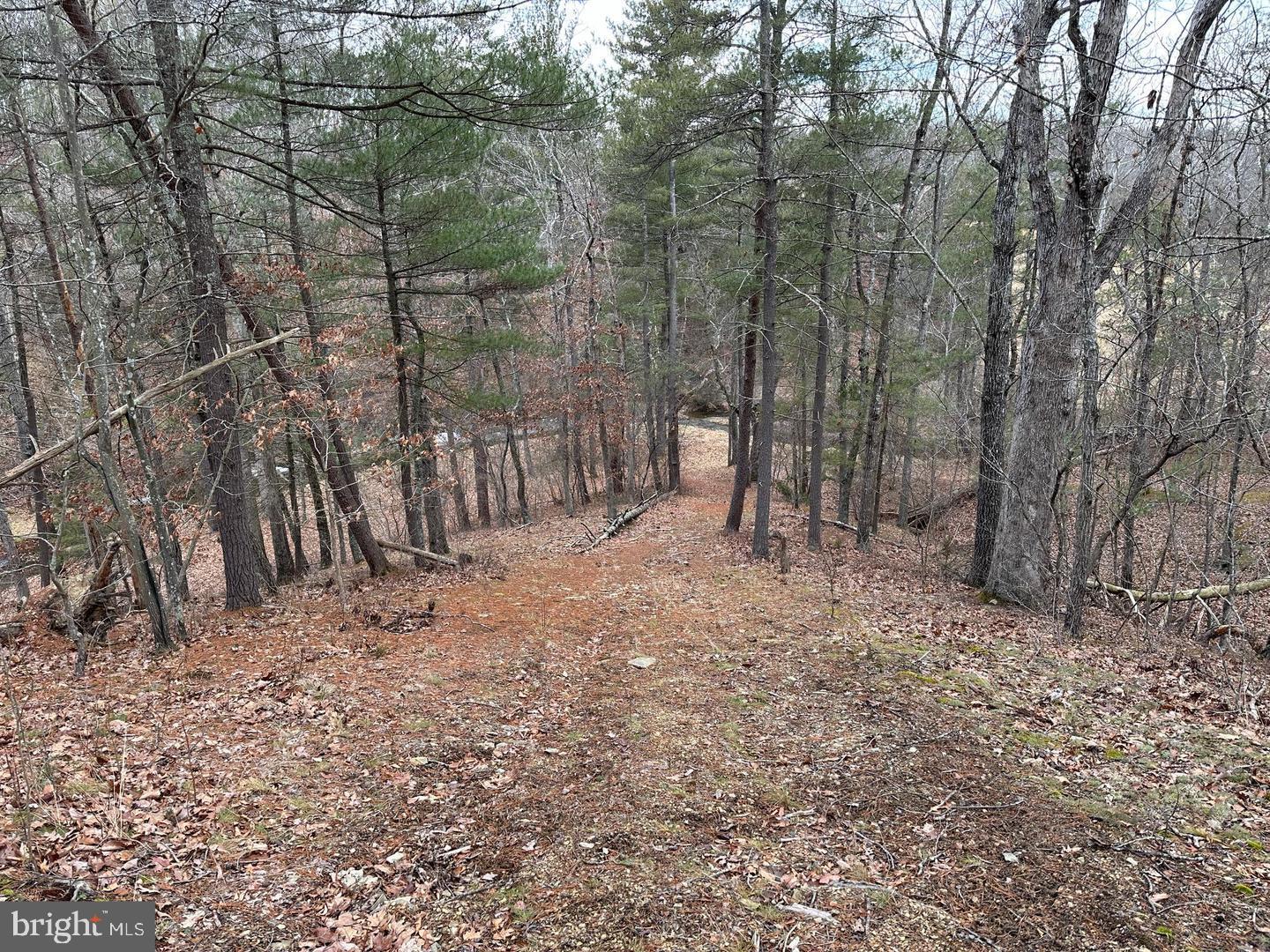 LOT 1B DOUBLE CHURCH RD, STEPHENS CITY, Virginia 22655, 3 Bedrooms Bedrooms, ,3 BathroomsBathrooms,Residential,For sale,LOT 1B DOUBLE CHURCH RD,VAFV2036434 MLS # VAFV2036434