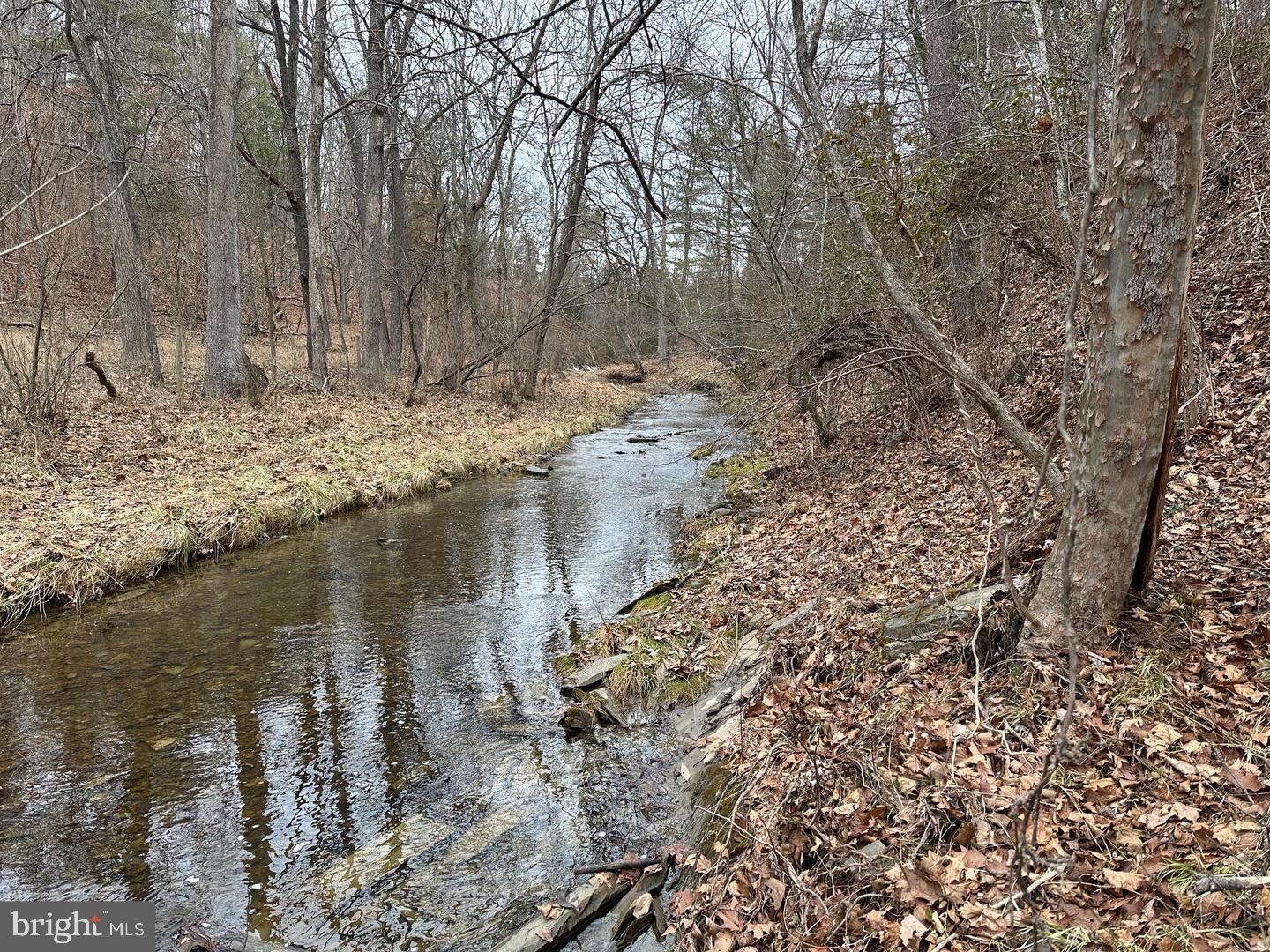LOT 1B DOUBLE CHURCH RD, STEPHENS CITY, Virginia 22655, 3 Bedrooms Bedrooms, ,3 BathroomsBathrooms,Residential,For sale,LOT 1B DOUBLE CHURCH RD,VAFV2036434 MLS # VAFV2036434