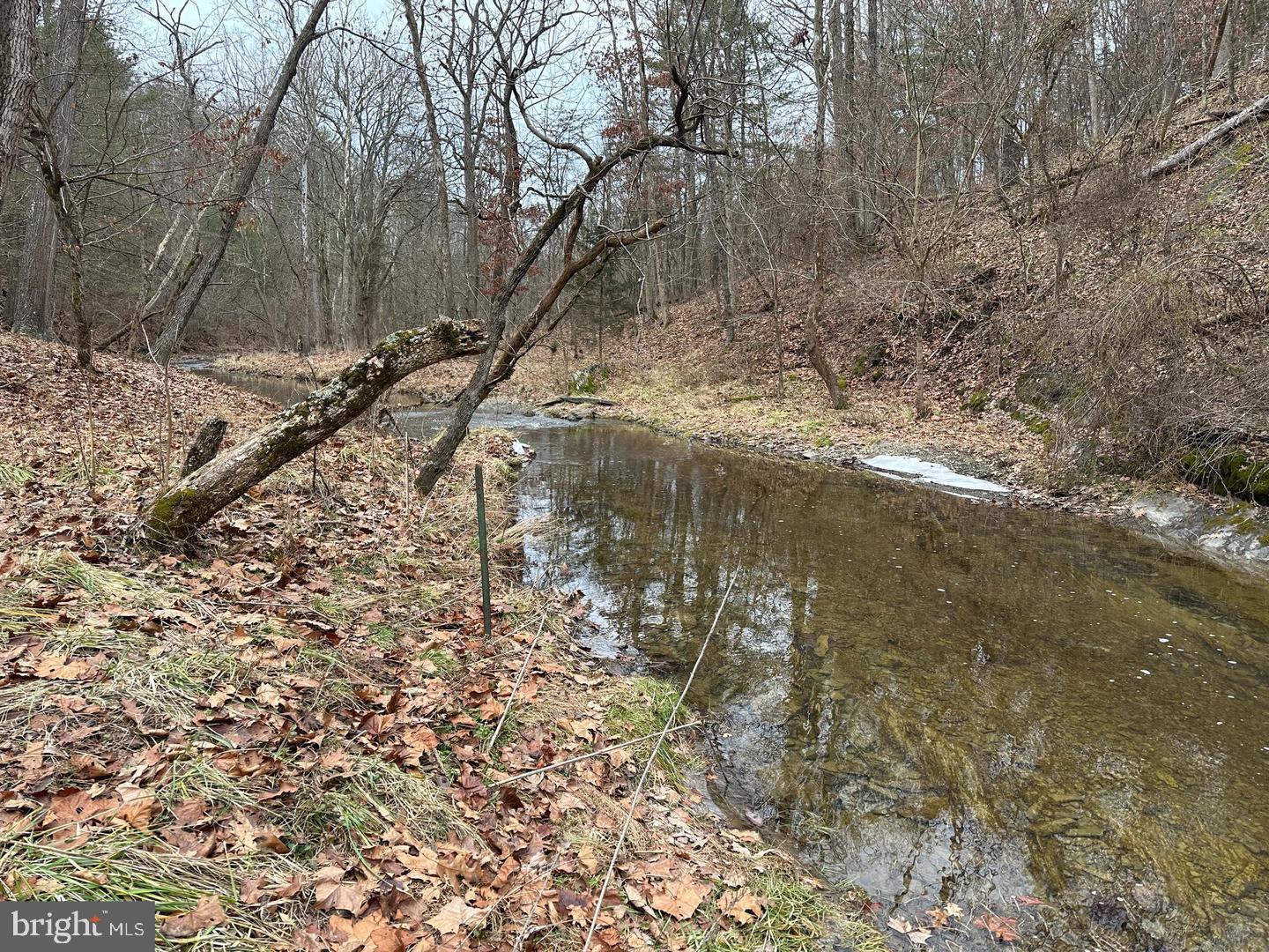 LOT 1B DOUBLE CHURCH RD, STEPHENS CITY, Virginia 22655, 3 Bedrooms Bedrooms, ,3 BathroomsBathrooms,Residential,For sale,LOT 1B DOUBLE CHURCH RD,VAFV2036434 MLS # VAFV2036434