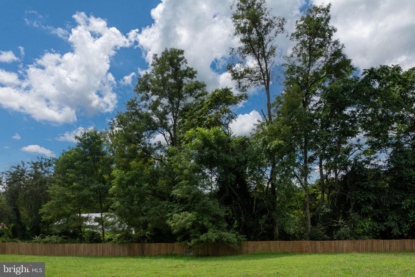 3800 SHELBY RD, MADISON, Virginia 22727, ,Land,For sale,3800 SHELBY RD,VAMA2002418 MLS # VAMA2002418
